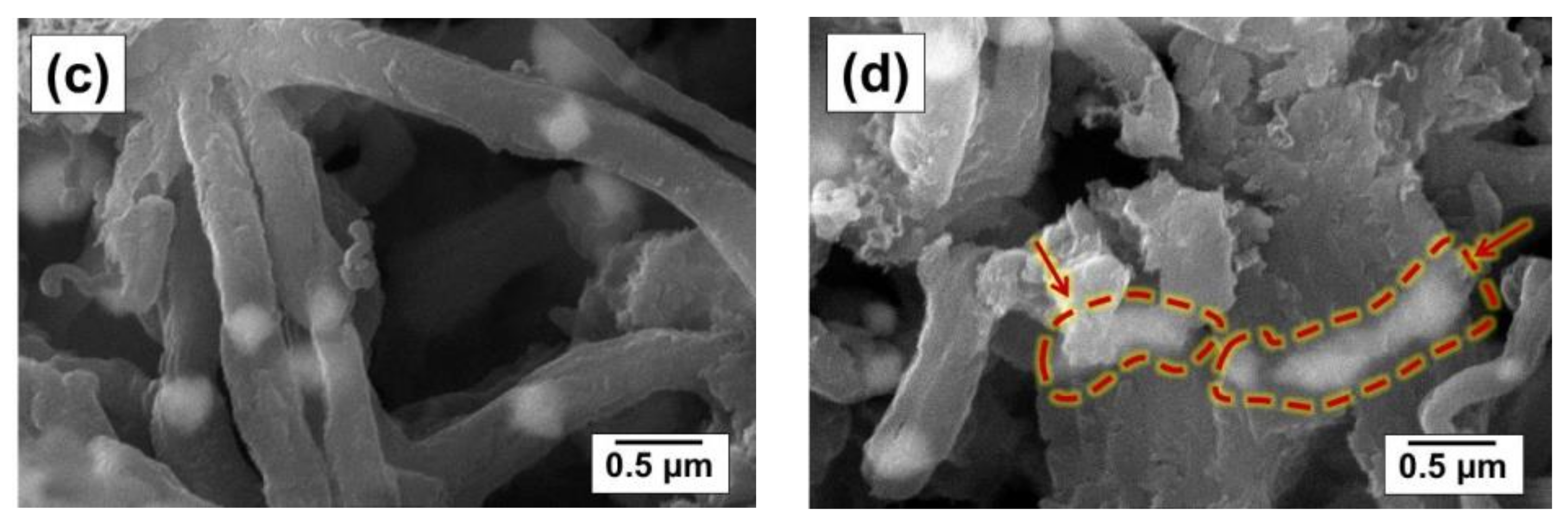 Jcs 07 00238 g006b Jcs 07 00238 g006b