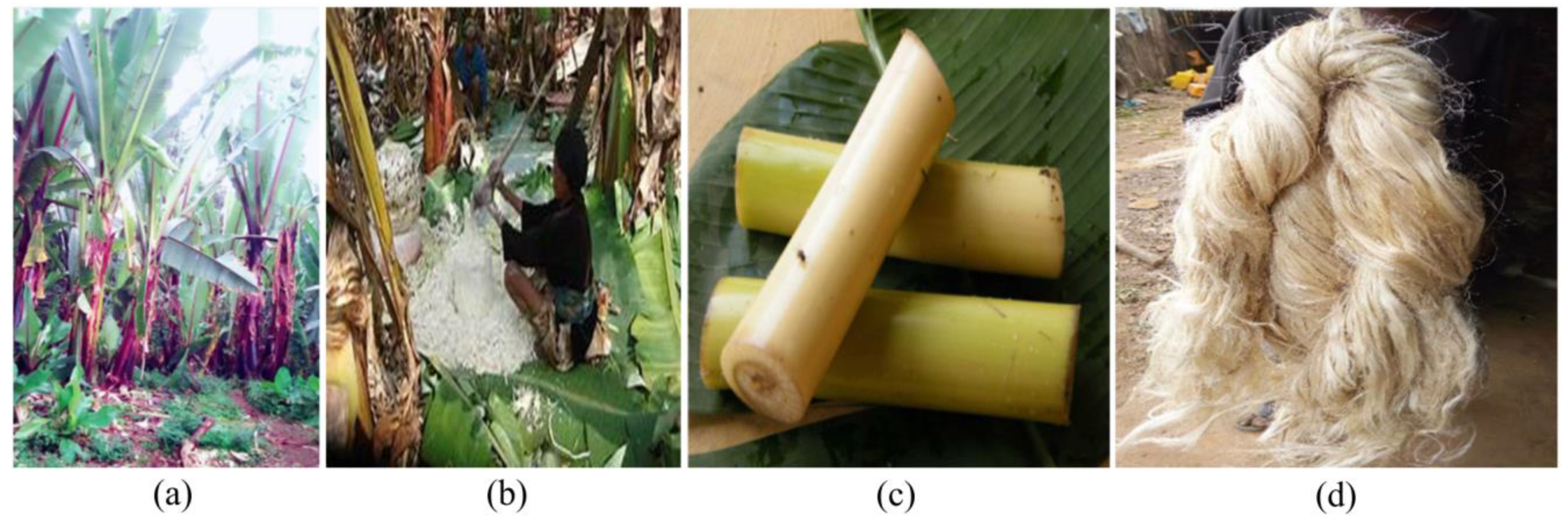 Jcs 07 00288 g001 Jcs 07 00288 g001