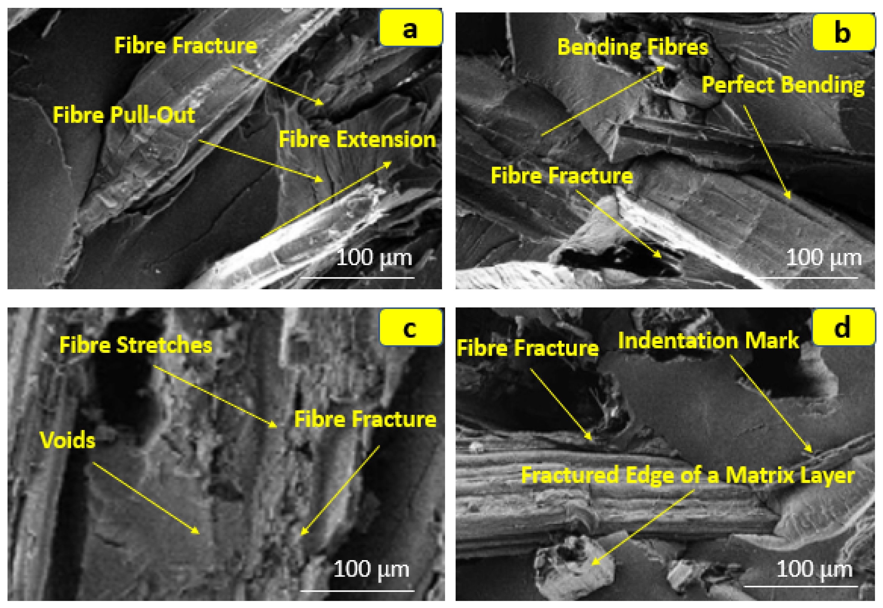 Jcs 07 00324 g007 Jcs 07 00324 g007