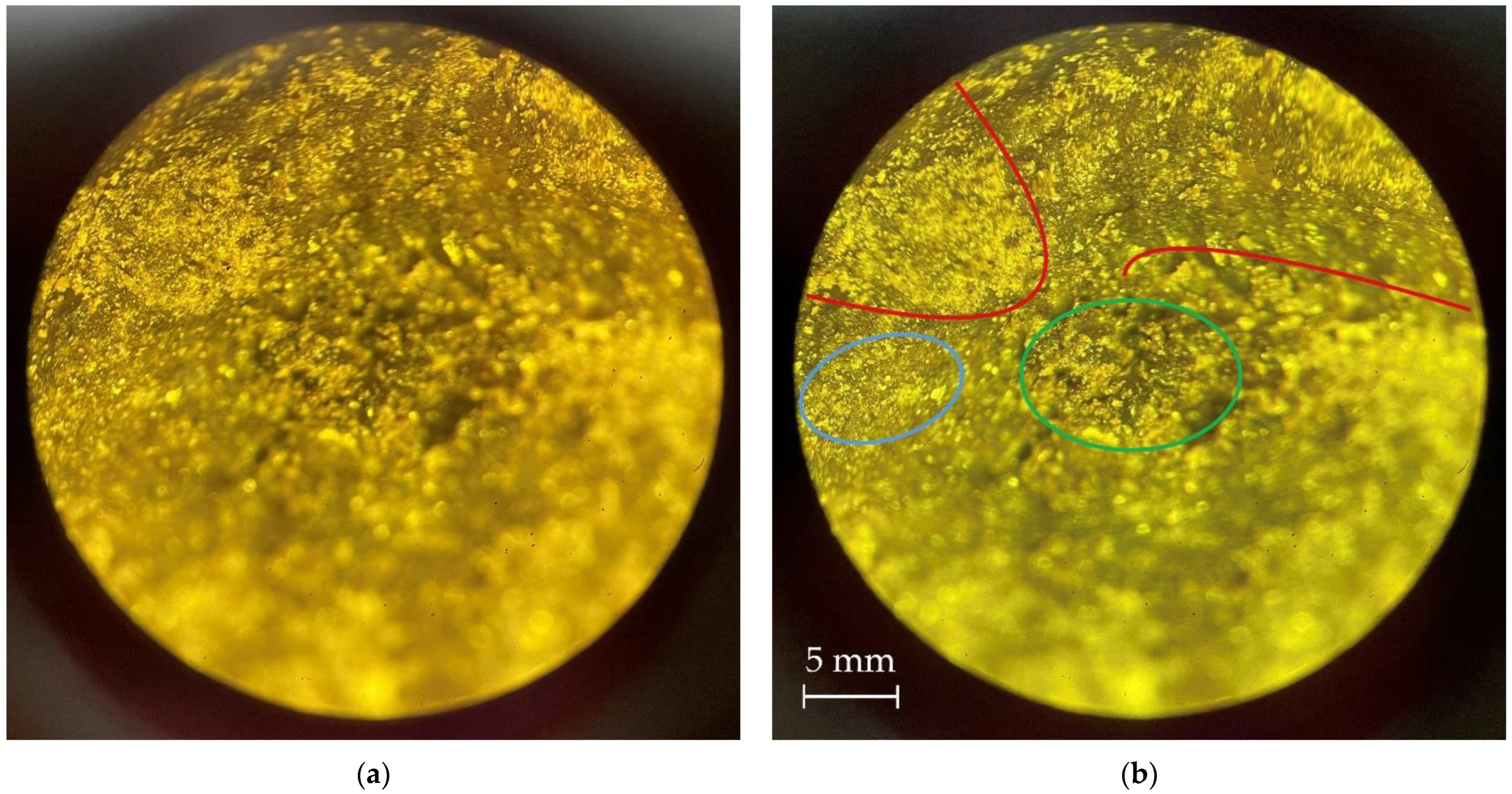 Jcs 07 00356 g017 Jcs 07 00356 g017