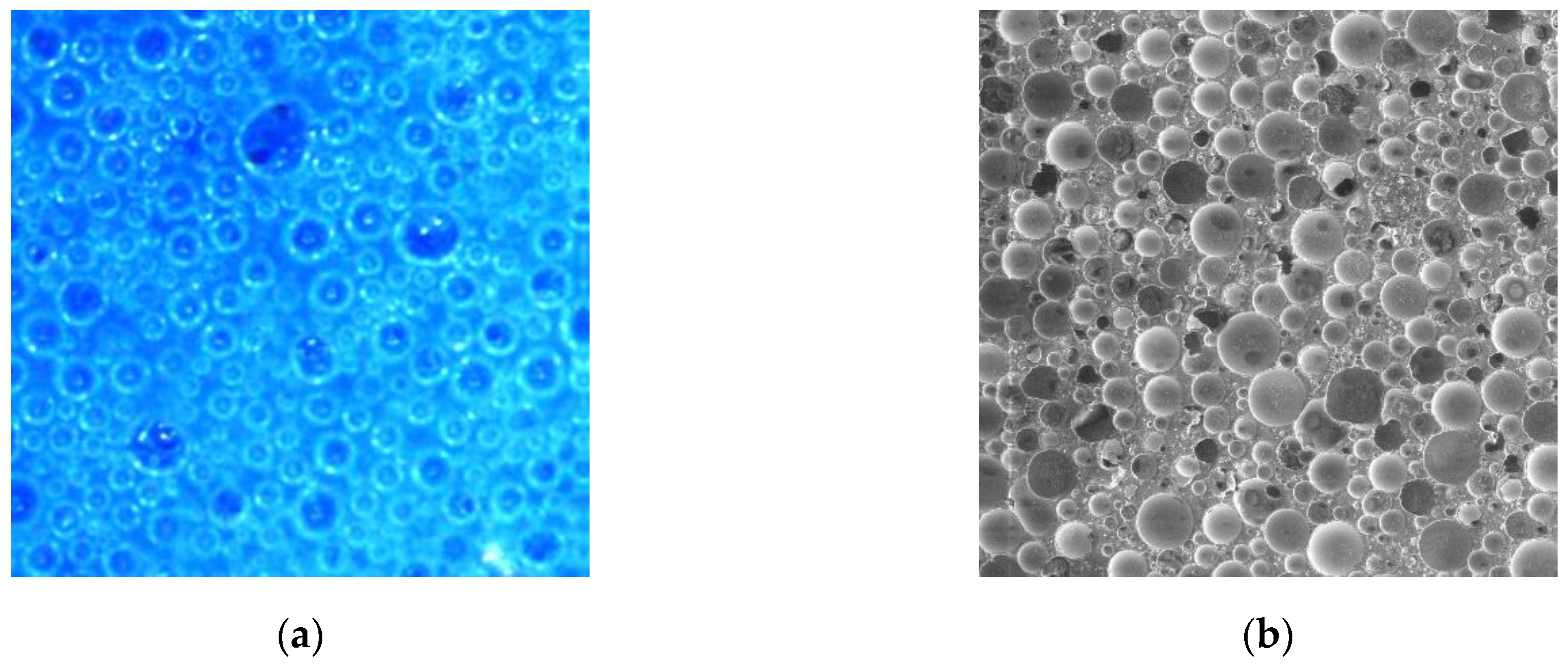 Jcs 07 00389 g004 Jcs 07 00389 g004