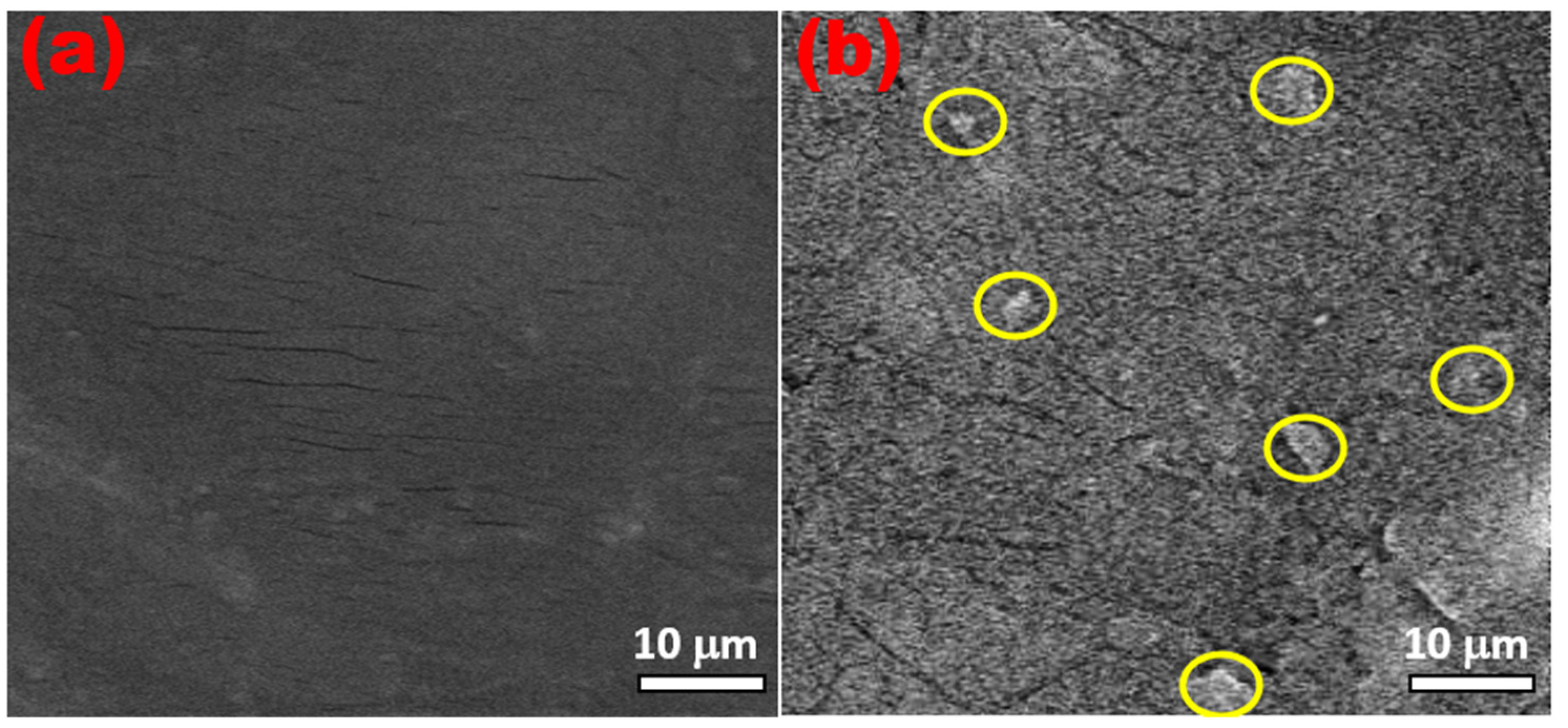 Jcs 08 00117 g004 Jcs 08 00117 g004