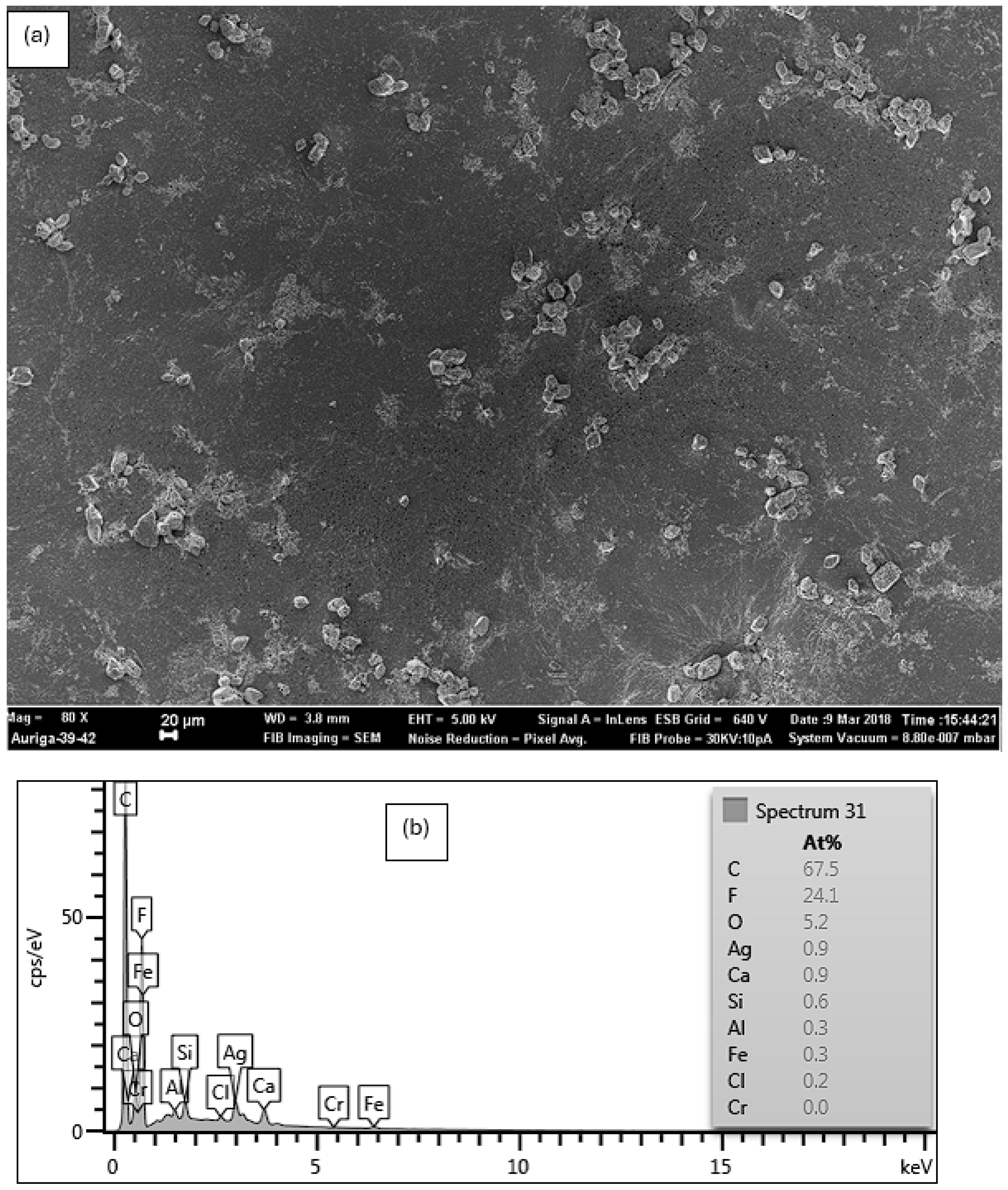 Jcs 08 00119 g005