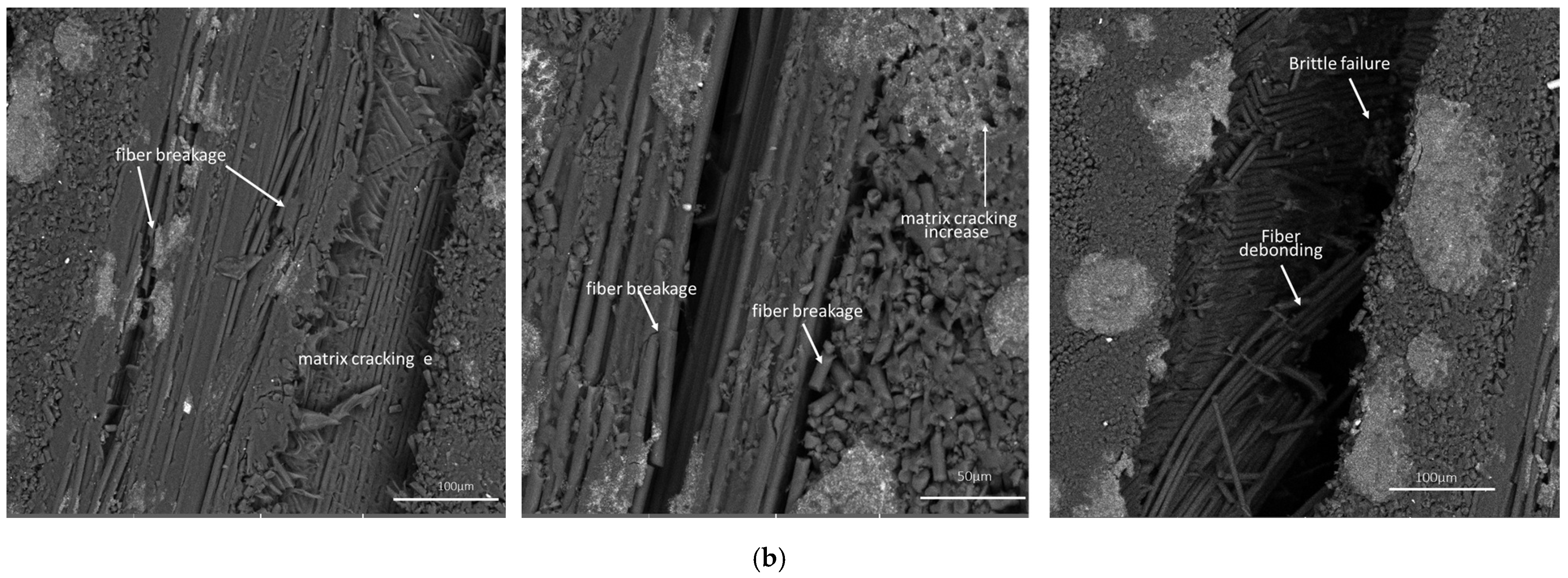 Jcs 09 00293 g014b Jcs 09 00293 g014b