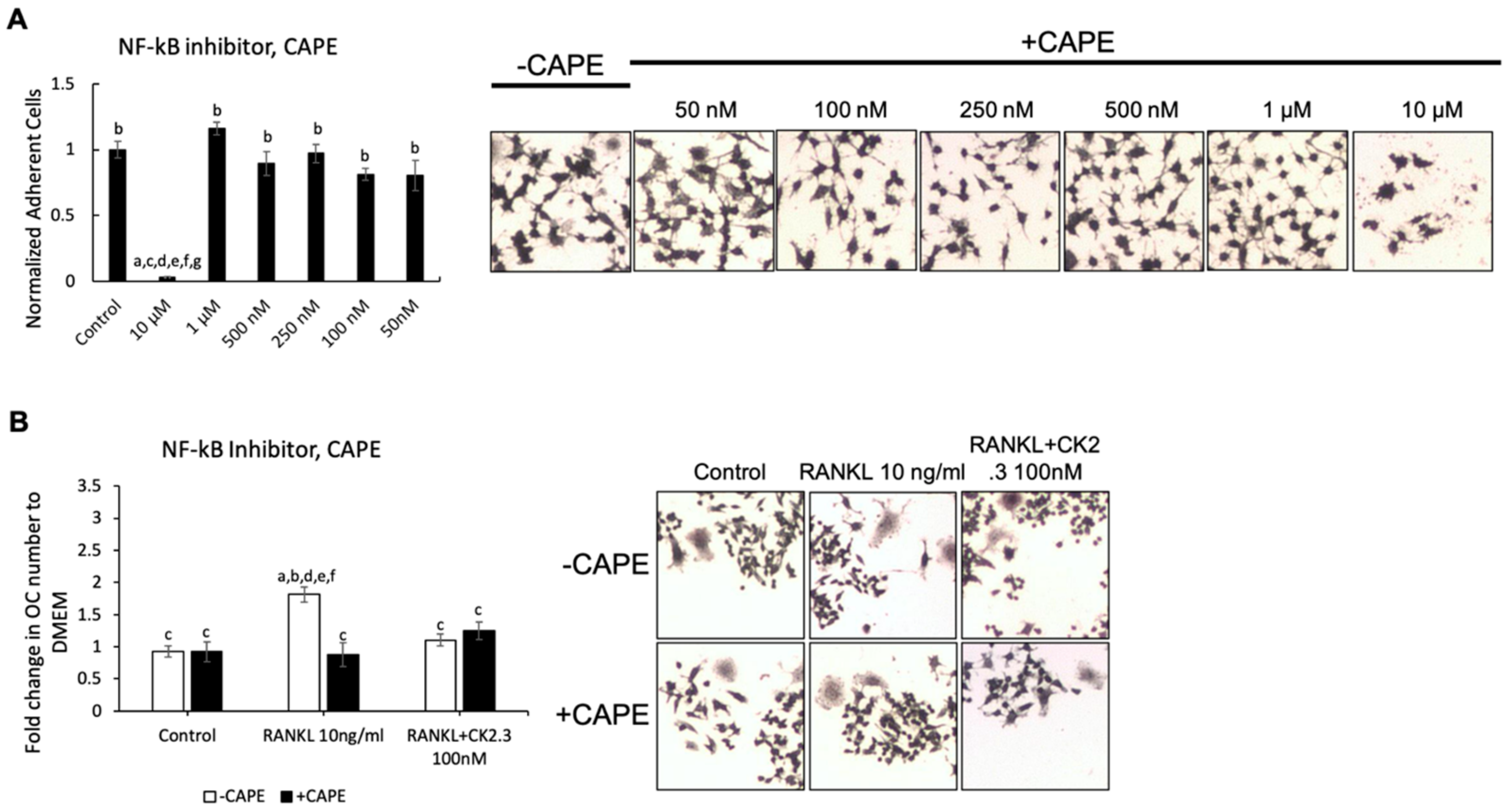 Jdb 08 00012 g005 Jdb 08 00012 g005