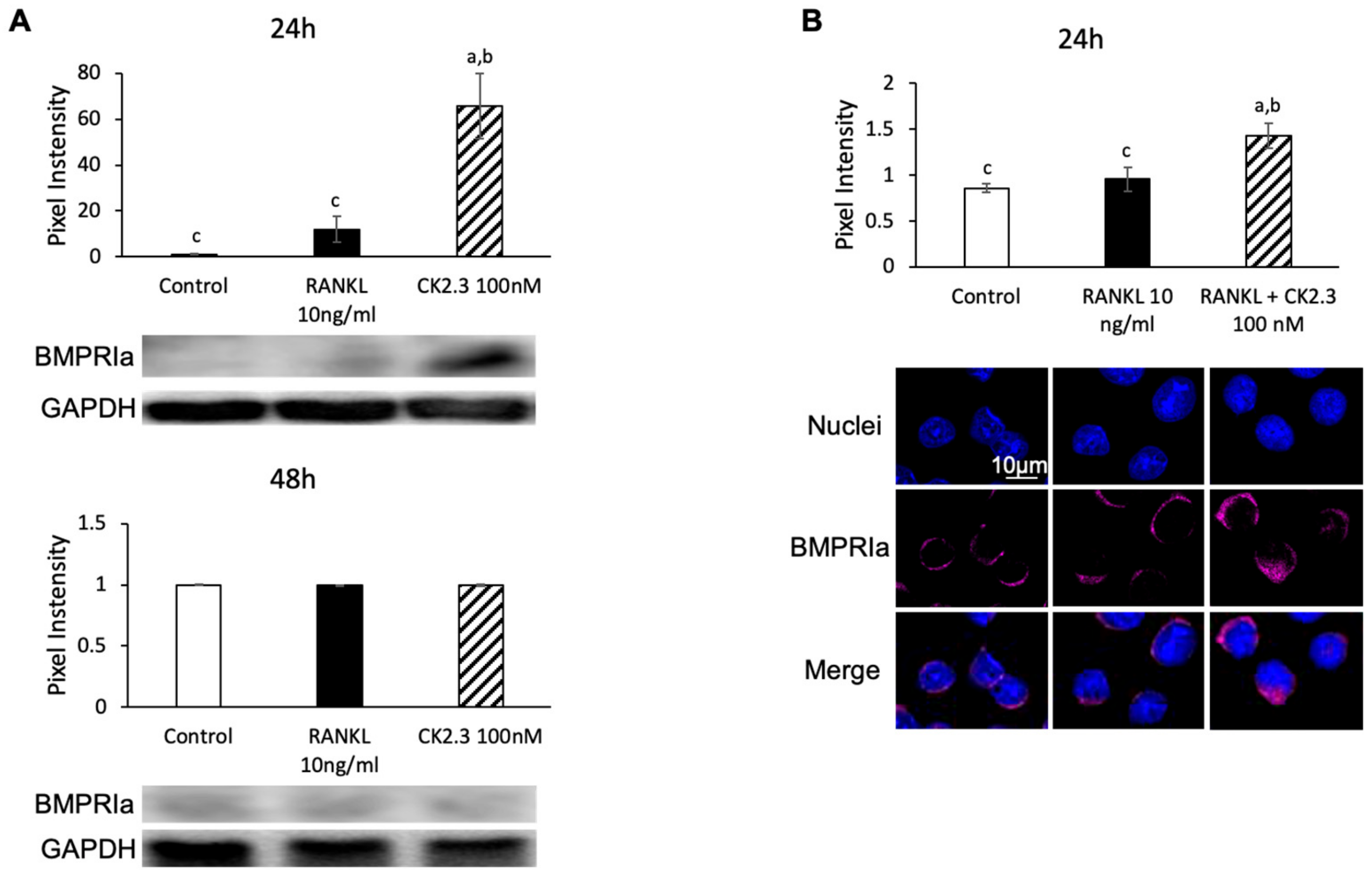 Jdb 08 00012 g007 Jdb 08 00012 g007