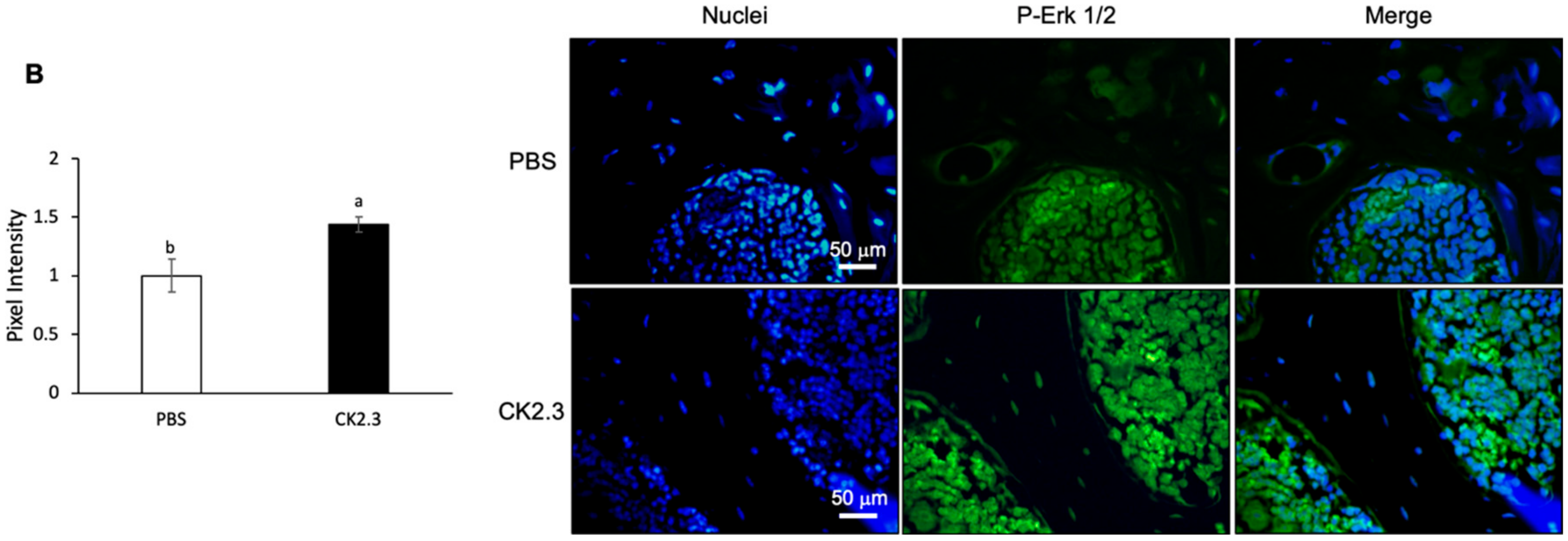 Jdb 08 00012 g010b Jdb 08 00012 g010b