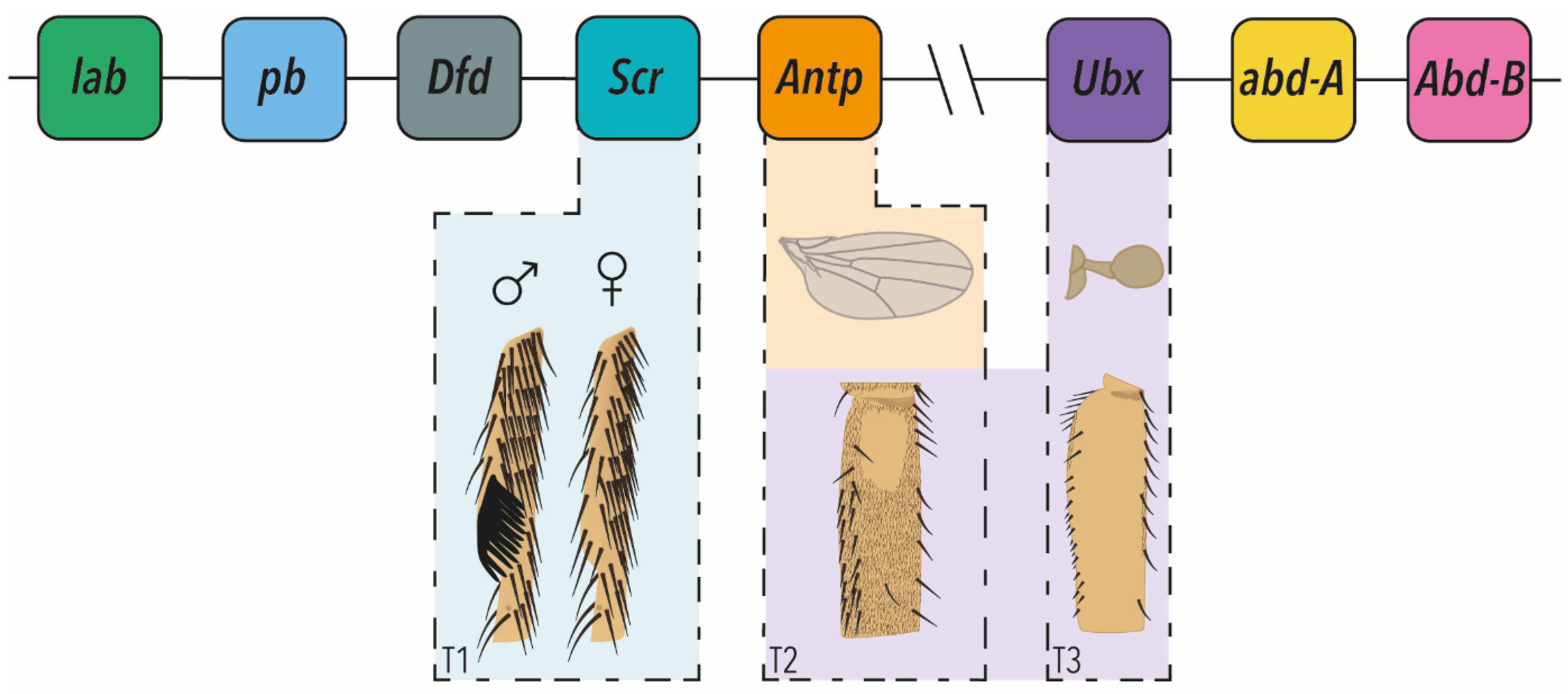 Jdb 10 00013 g001 Jdb 10 00013 g001