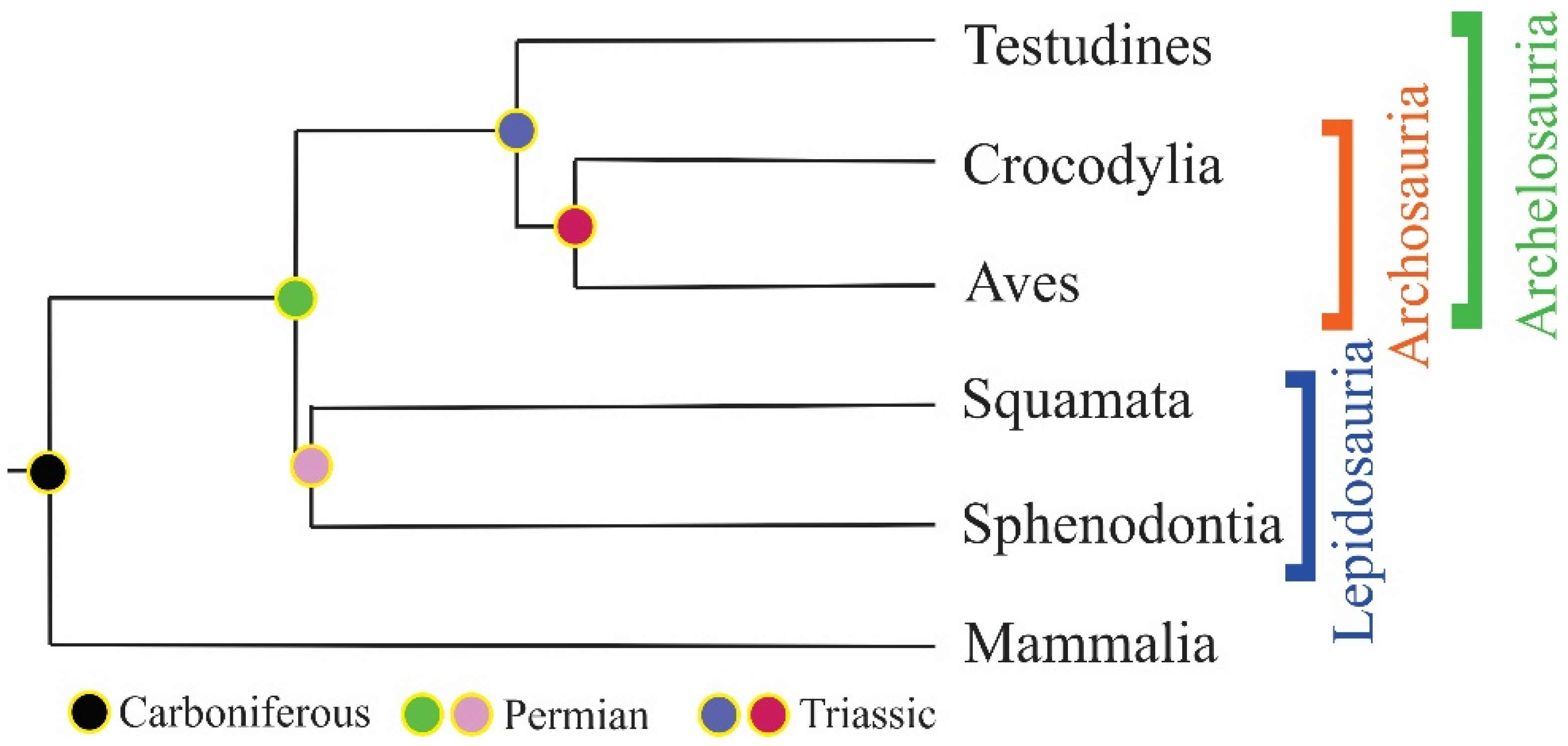 https://www.mdpi.com/jdb/jdb-11-00005/article_deploy/html/images/jdb-11-00005-g001.png