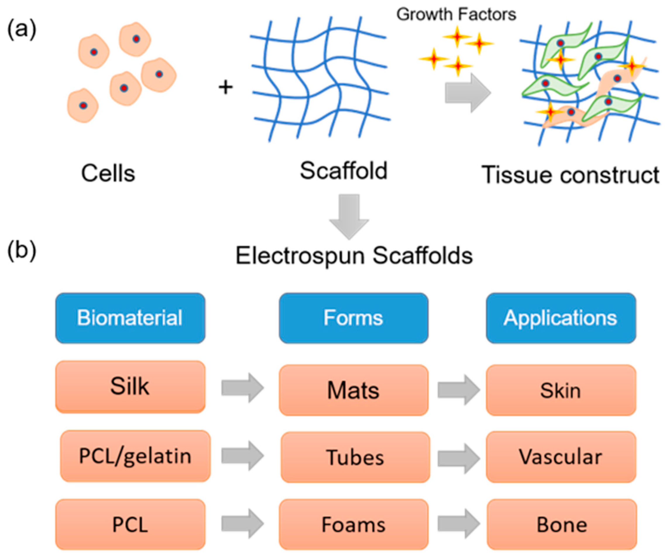 liver tissue engineering scaffold materials