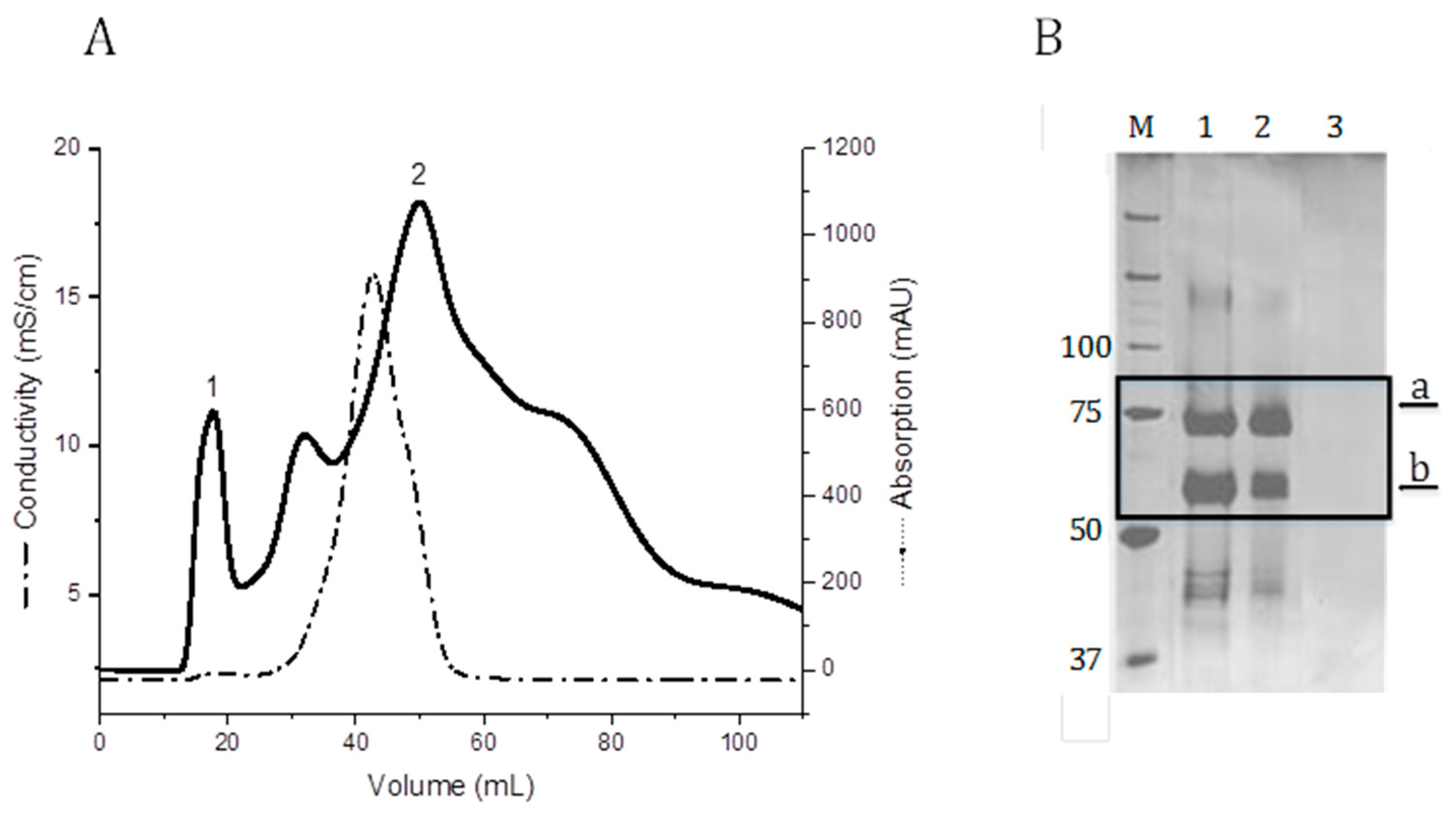 Jfb Free Full Text Production Of A Recombinant Non - 