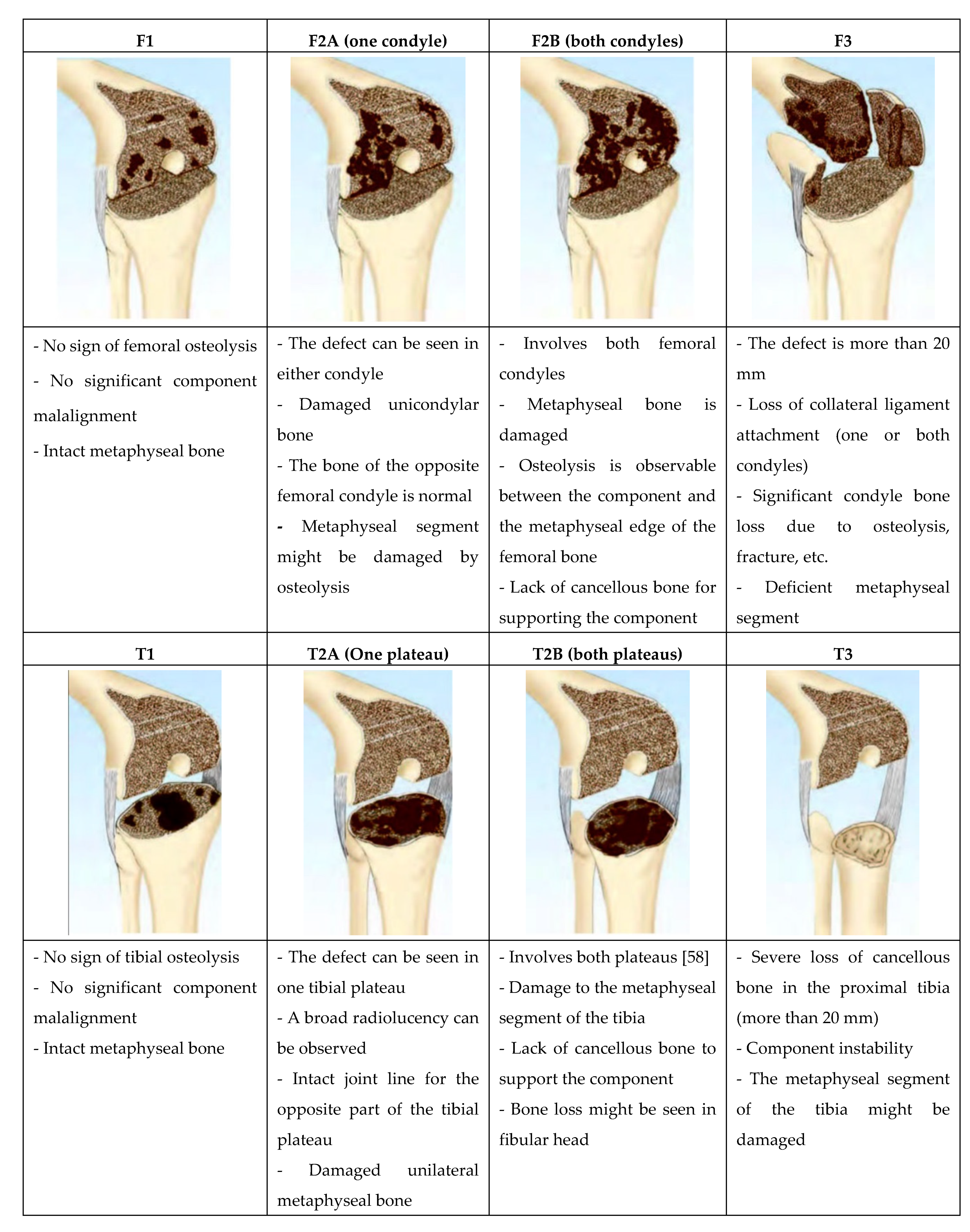 Jfb 11 00025 g002 Jfb 11 00025 g002