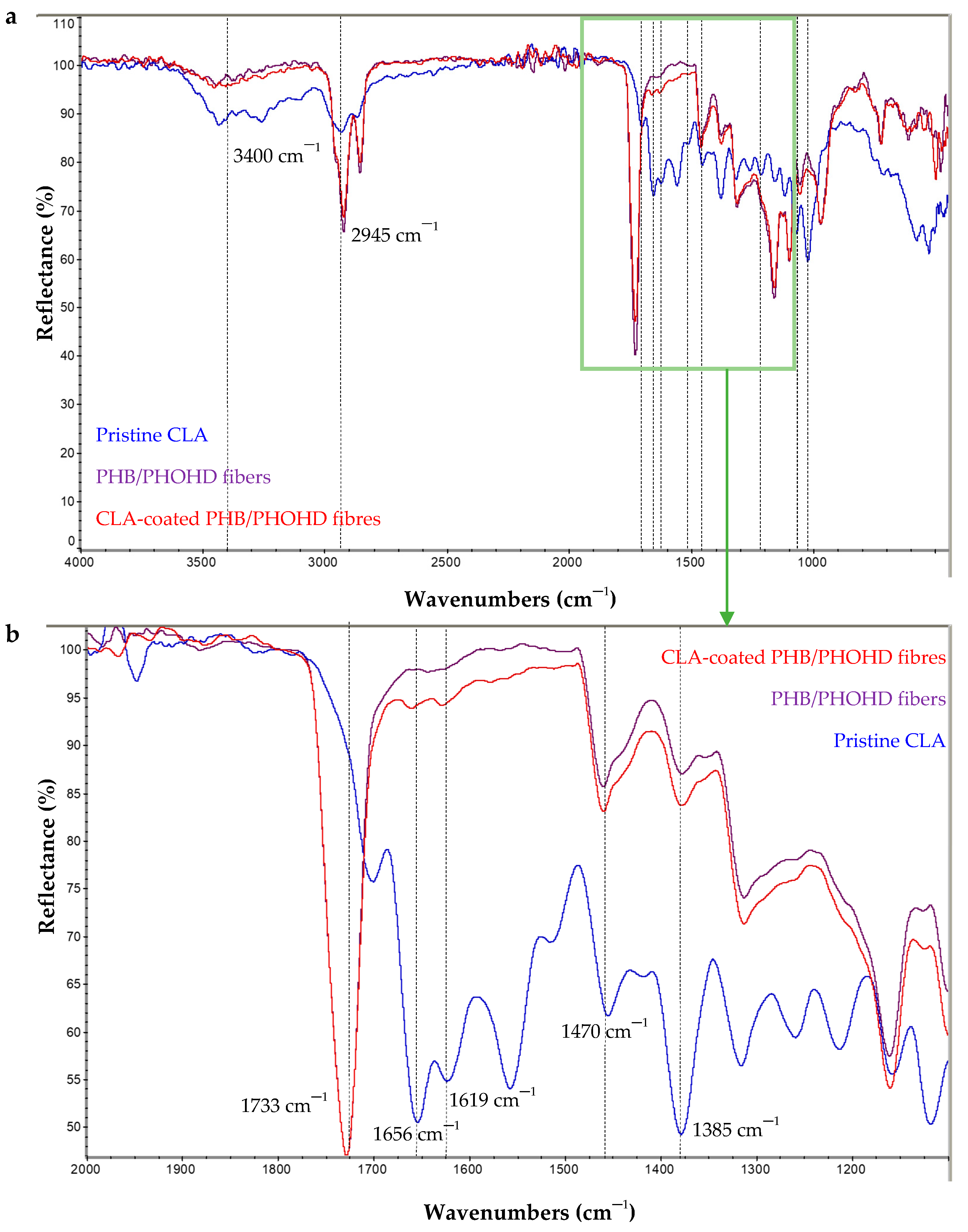 Jfb 11 00062 g007 Jfb 11 00062 g007