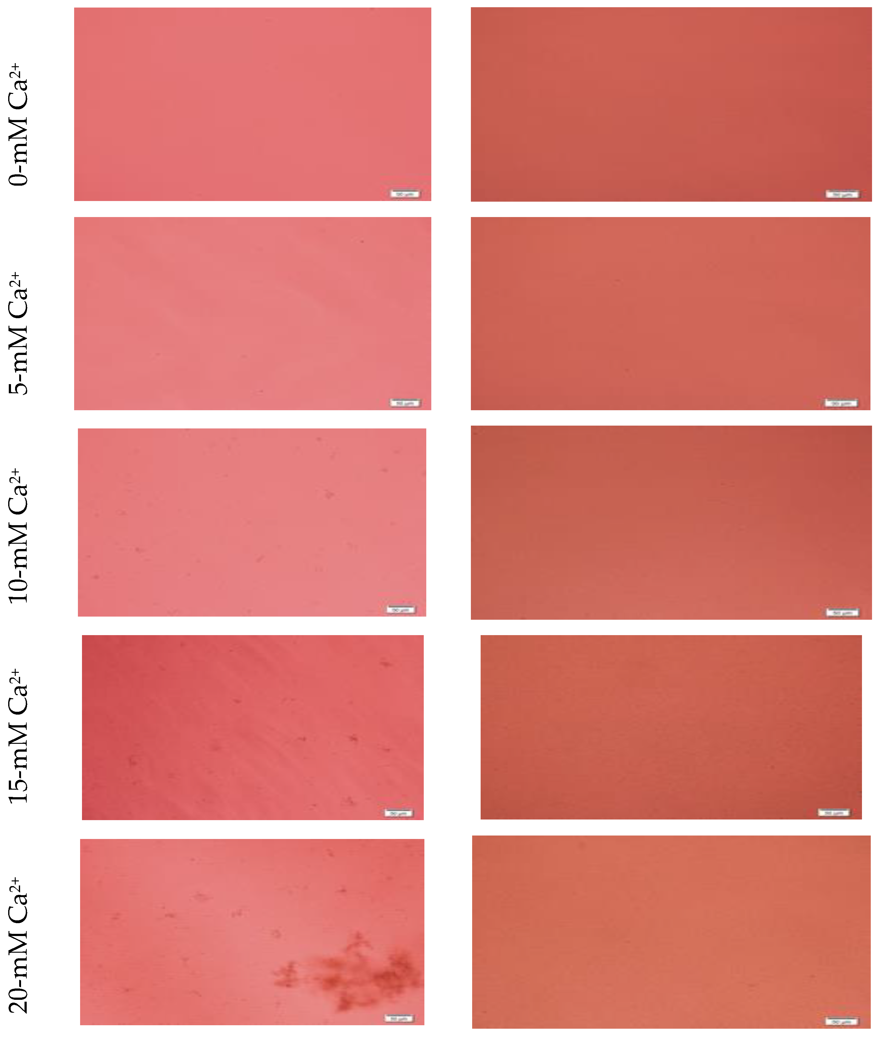 Jfb 11 00063 g003a Jfb 11 00063 g003a