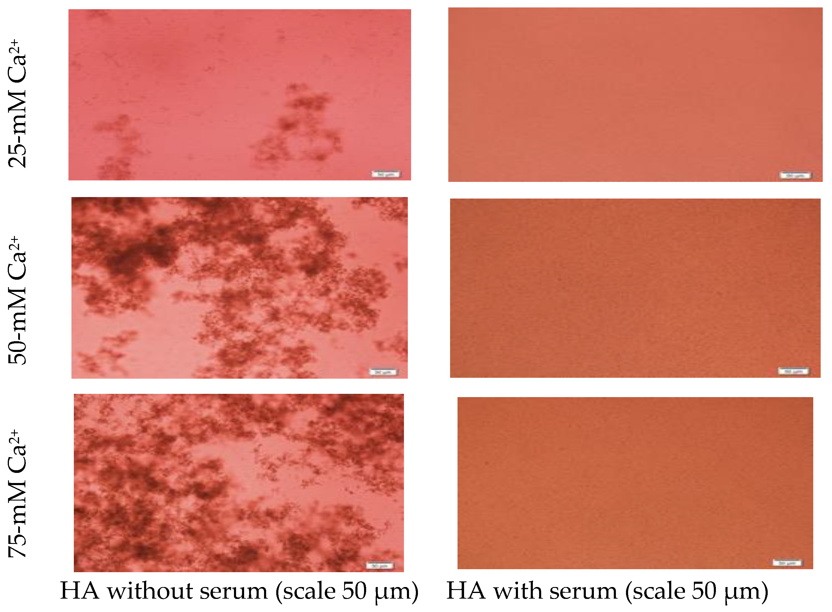 Jfb 11 00063 g003b Jfb 11 00063 g003b