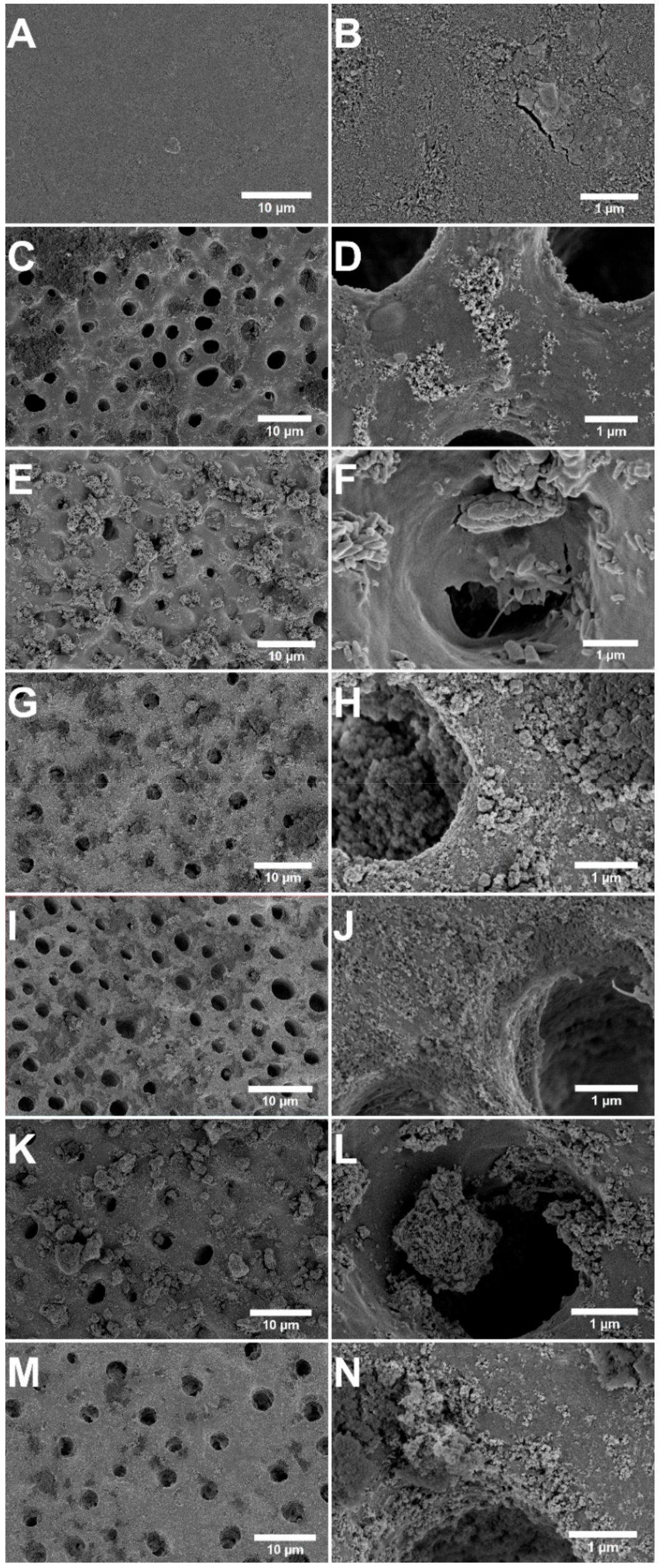 Jfb 12 00027 g002 Jfb 12 00027 g002