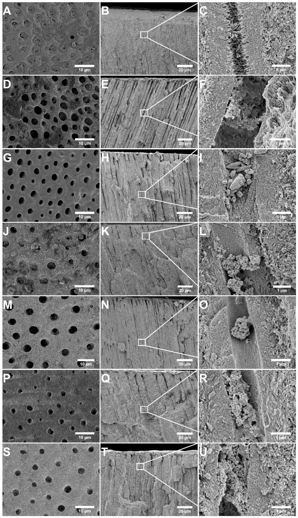 Jfb 12 00027 g004 Jfb 12 00027 g004