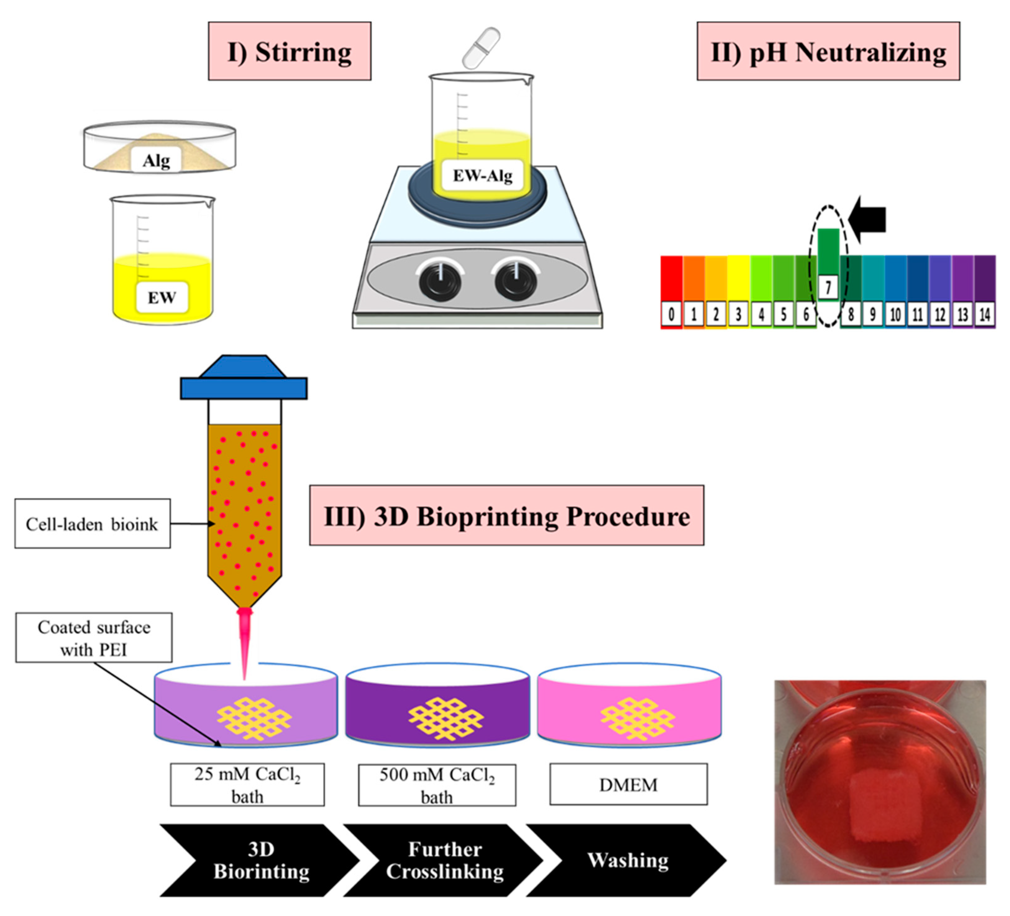 Jfb 12 00045 g001 Jfb 12 00045 g001