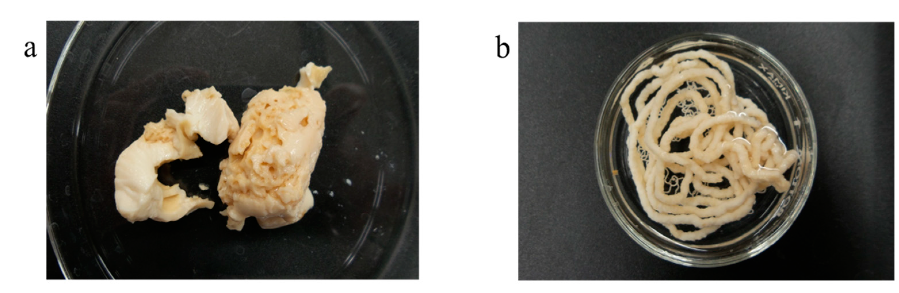Jfb 12 00045 g008 Jfb 12 00045 g008