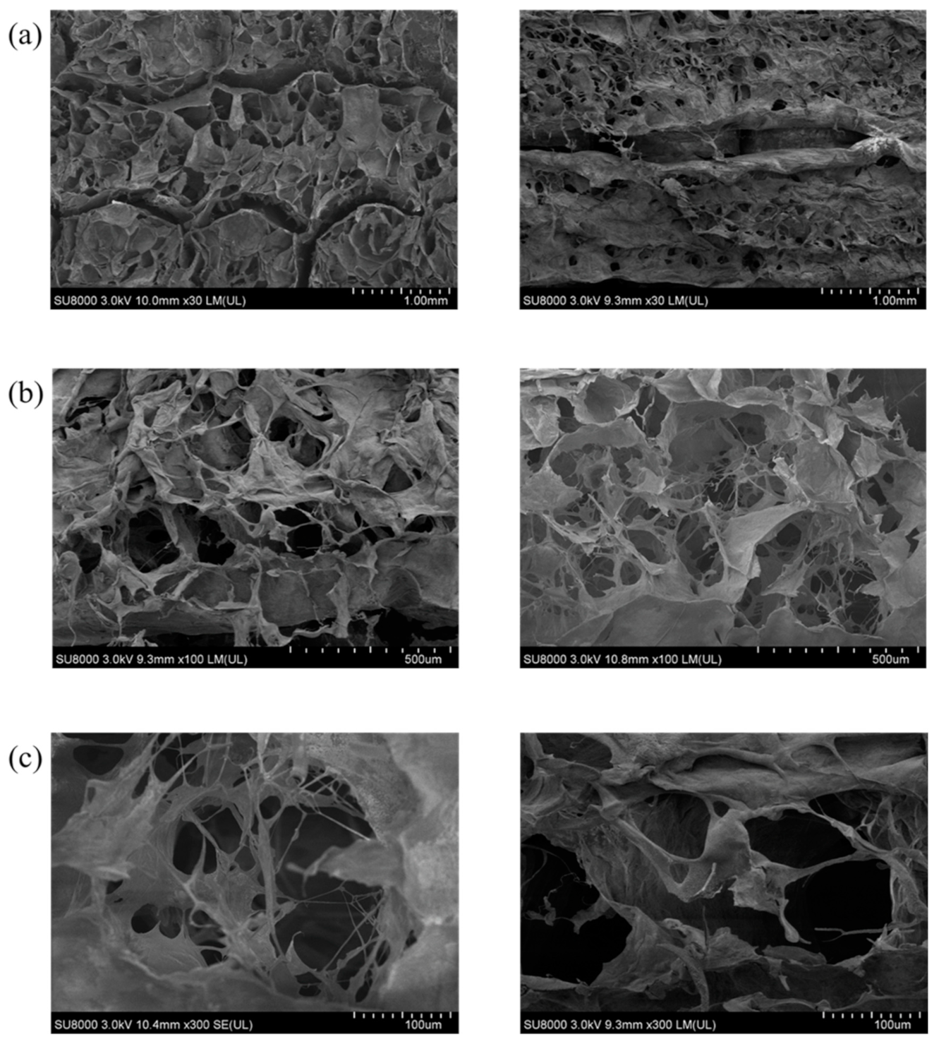 Jfb 12 00045 g0a1 Jfb 12 00045 g0a1