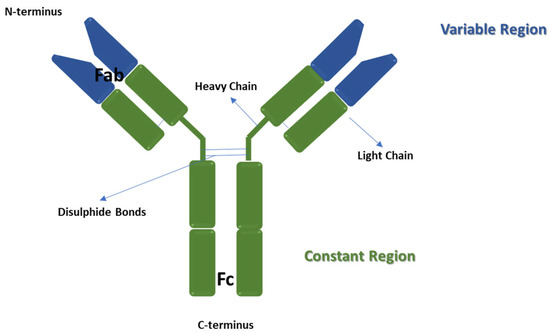 JFB | Free Full-Text | The Evolution of Molecular Recognition: From ...