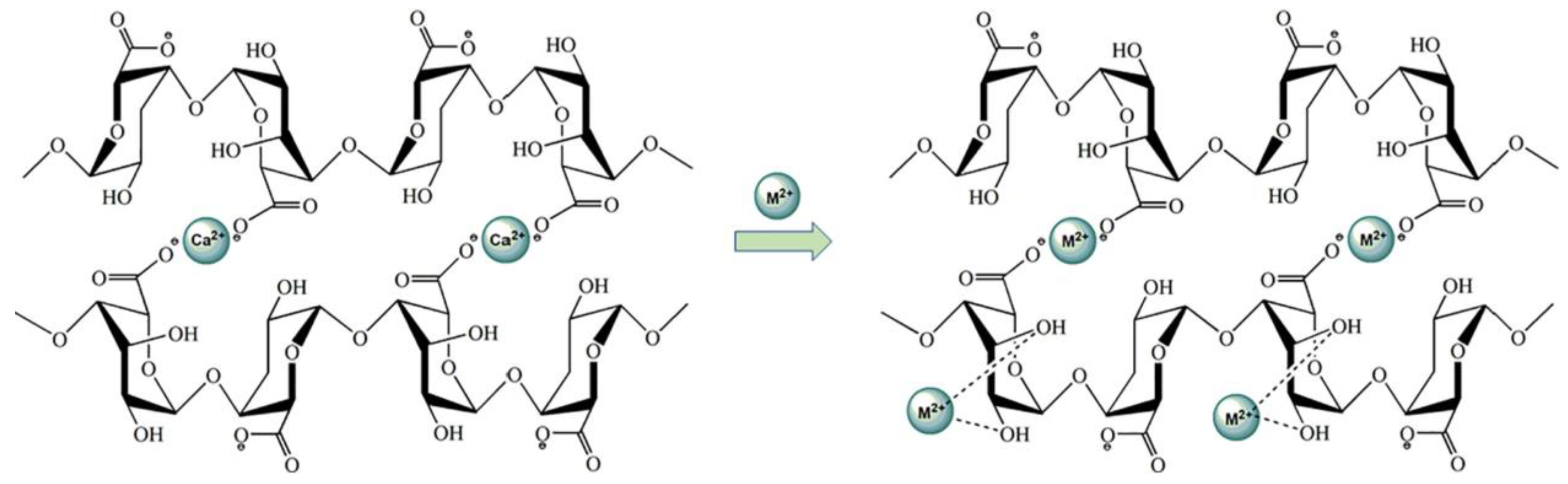 Jfb 13 00117 g011 Jfb 13 00117 g011