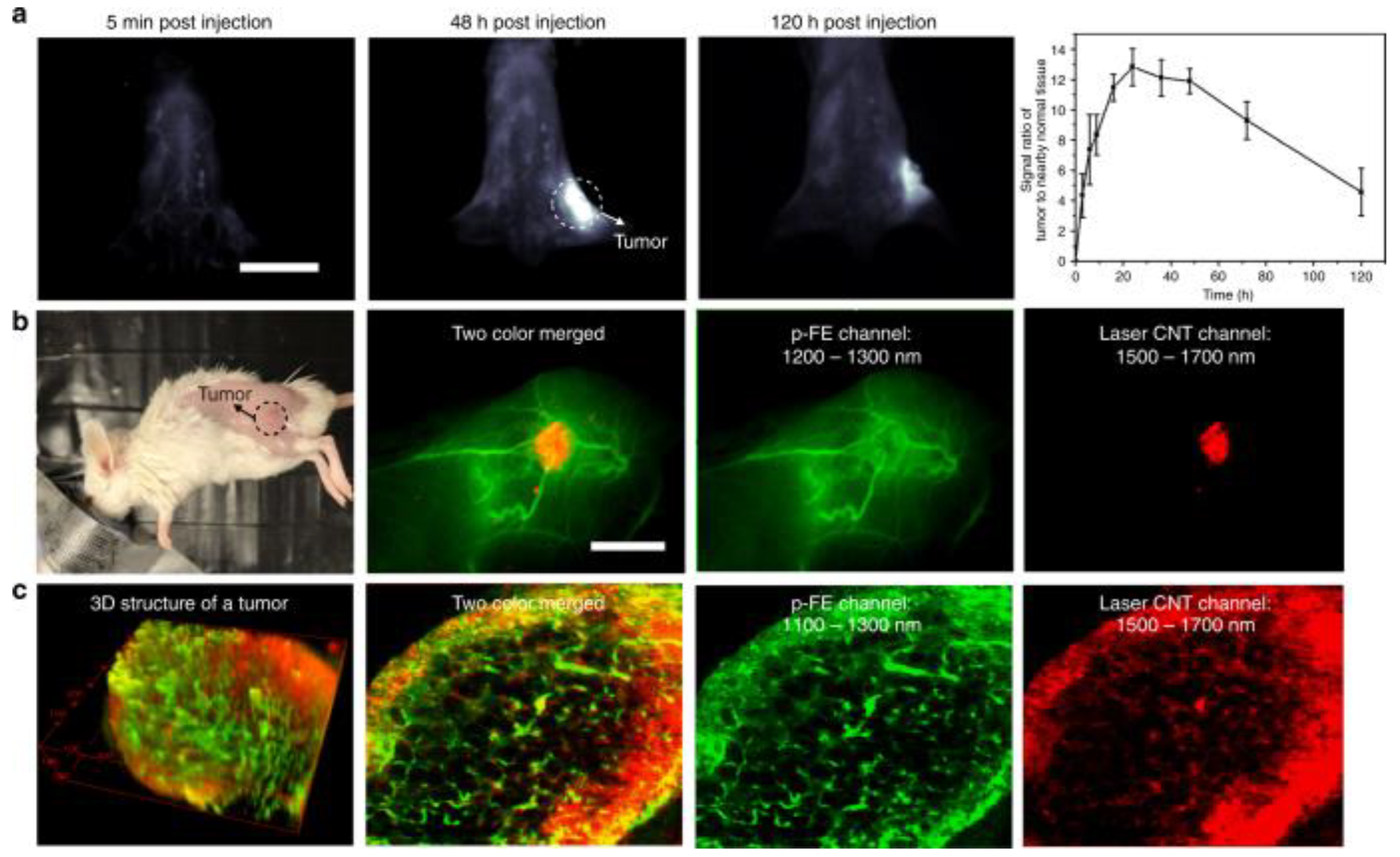 Jfb 13 00137 g008 Jfb 13 00137 g008