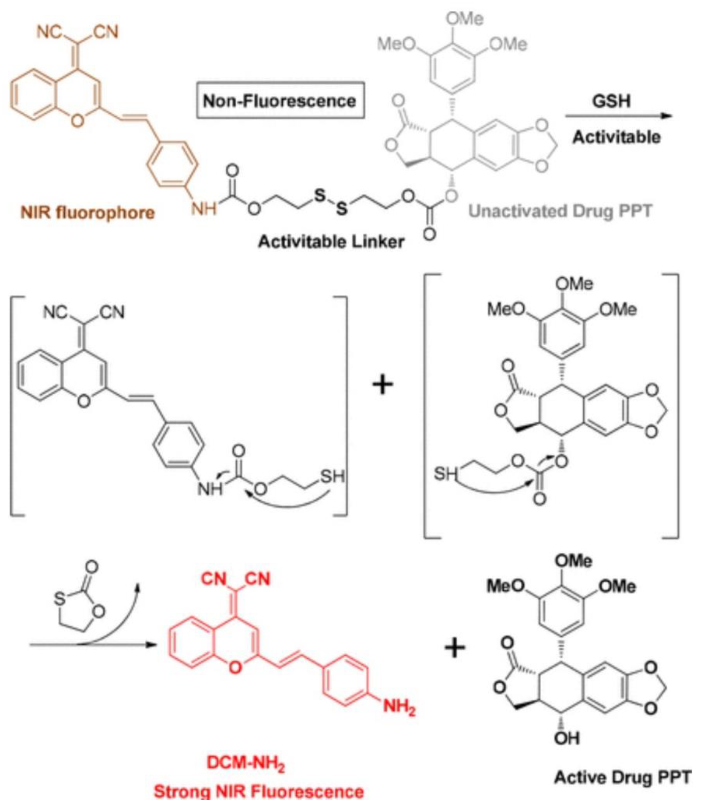 Jfb 13 00137 g012 Jfb 13 00137 g012