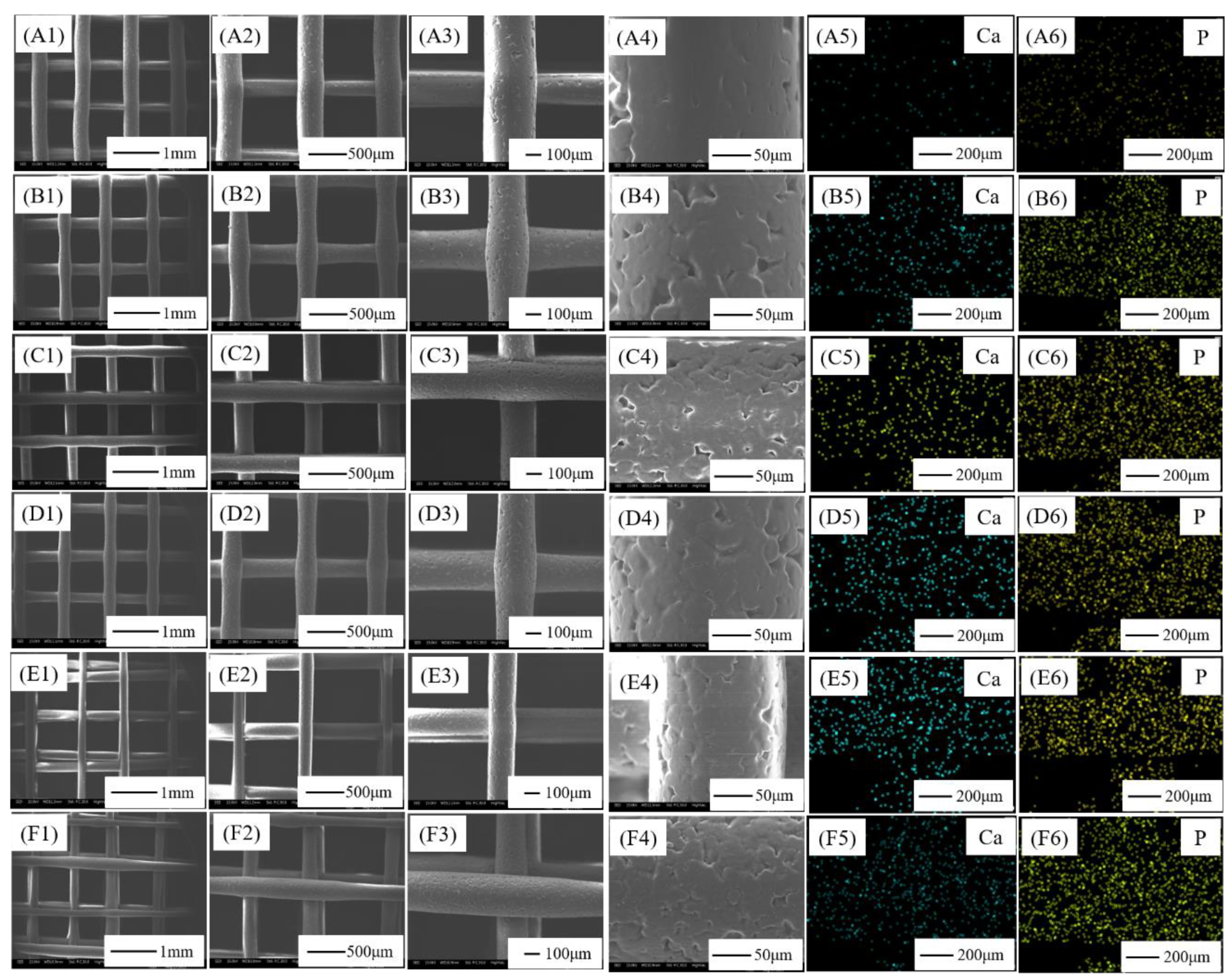 Jfb 13 00161 g003 Jfb 13 00161 g003