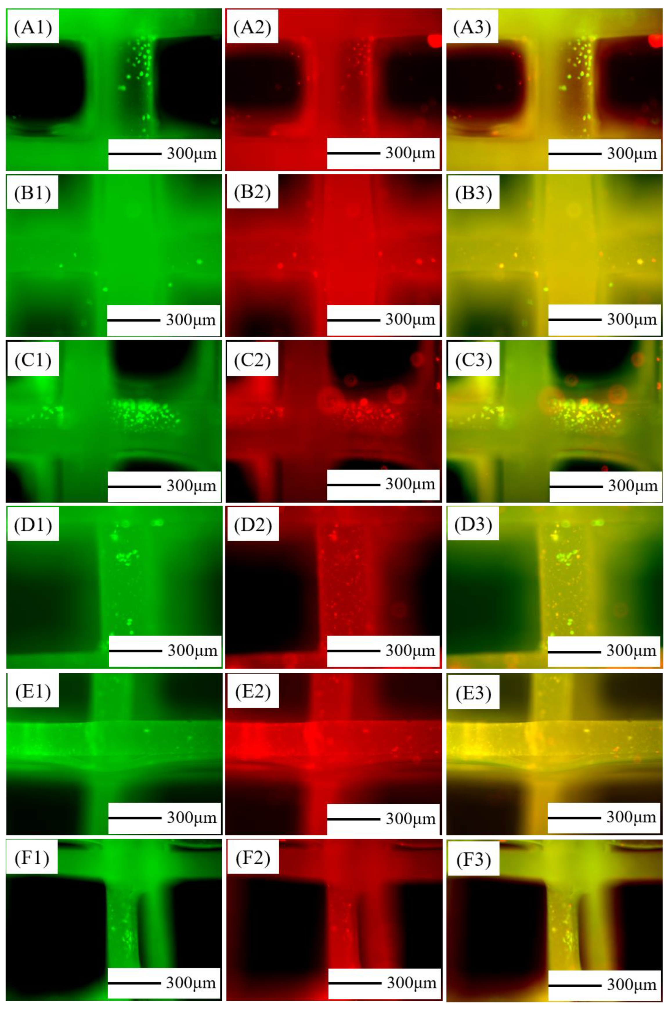 Jfb 13 00161 g006 Jfb 13 00161 g006