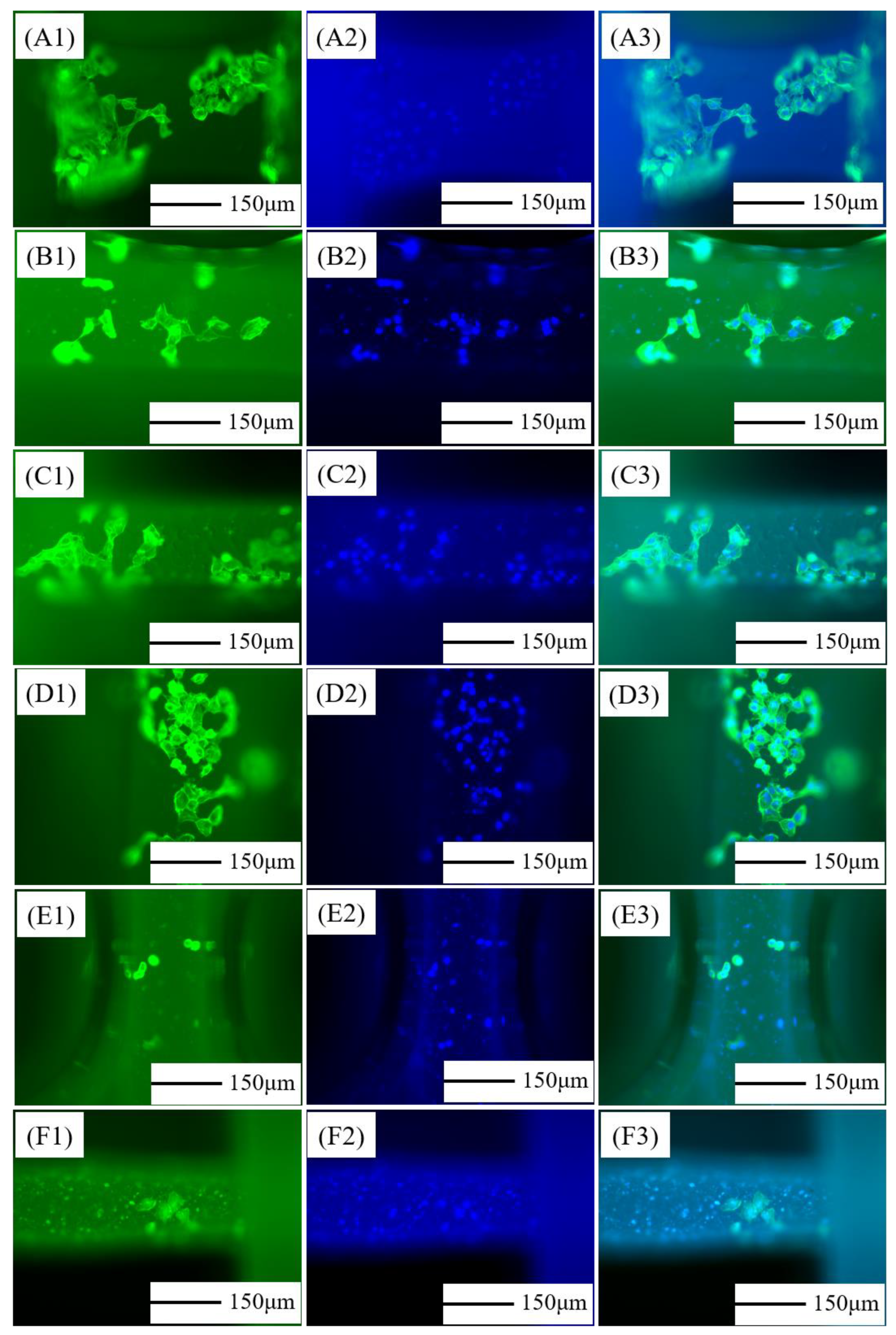 Jfb 13 00161 g007 Jfb 13 00161 g007