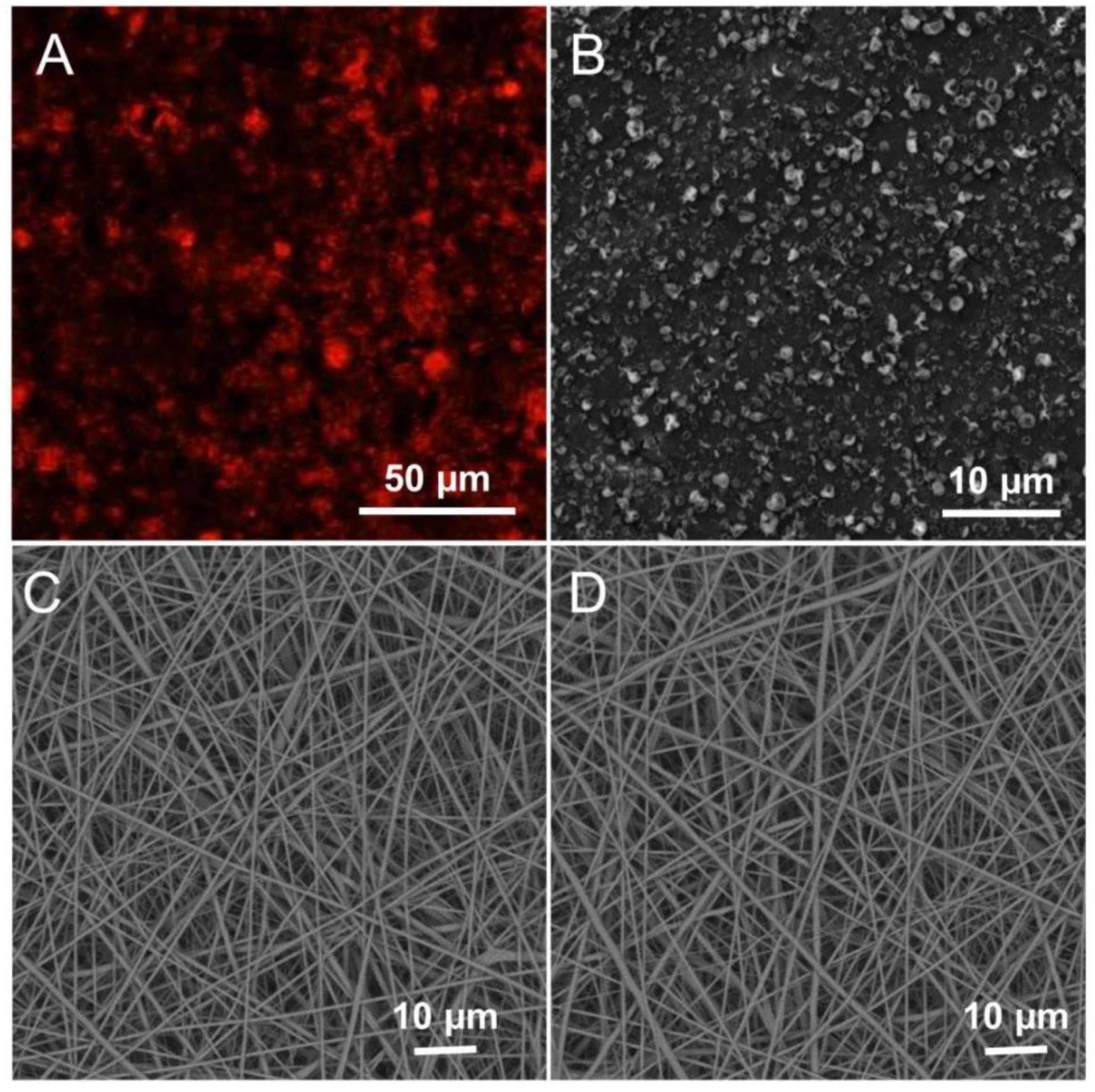 Jfb 13 00167 g002 Jfb 13 00167 g002