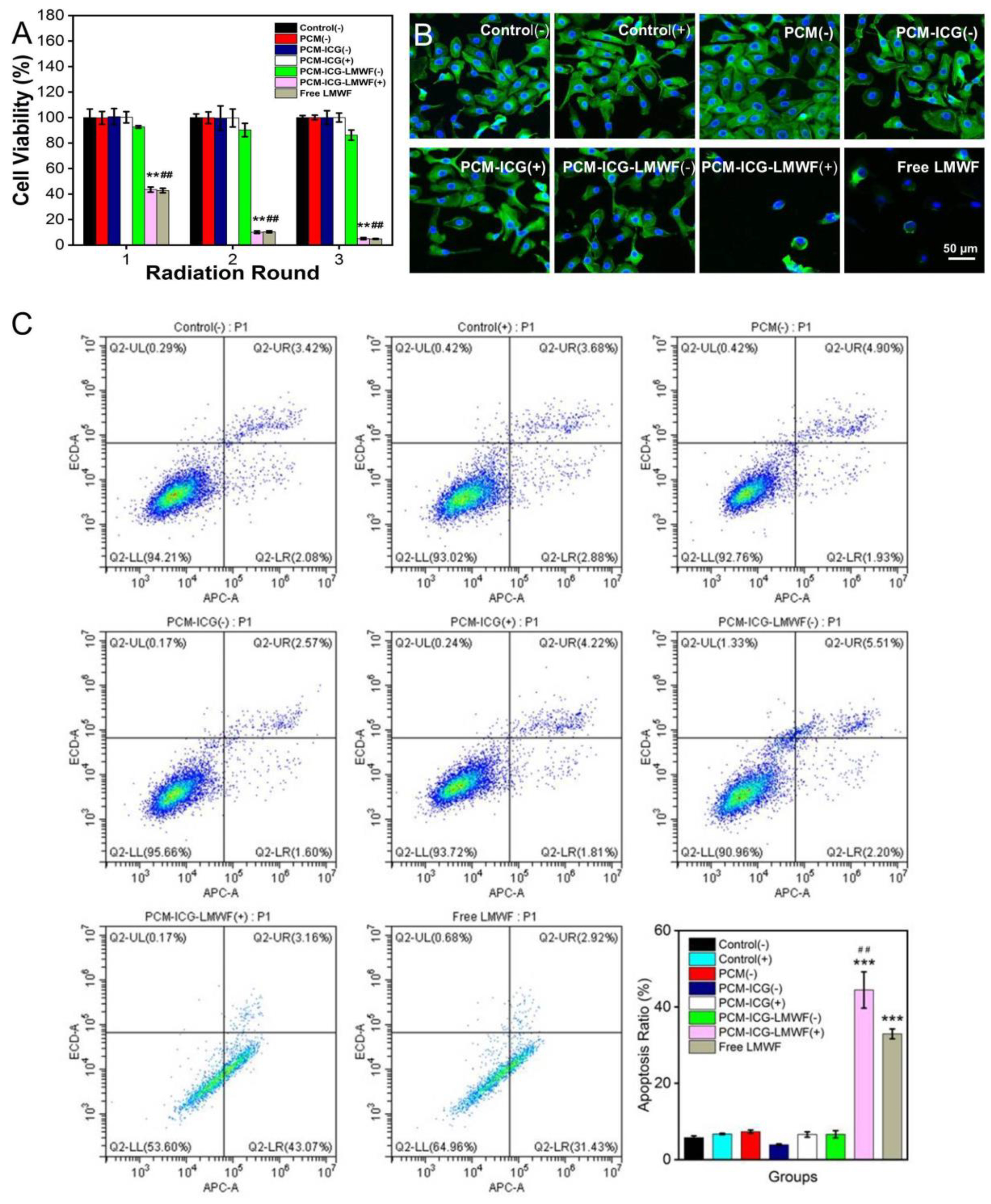 Jfb 13 00167 g007 Jfb 13 00167 g007