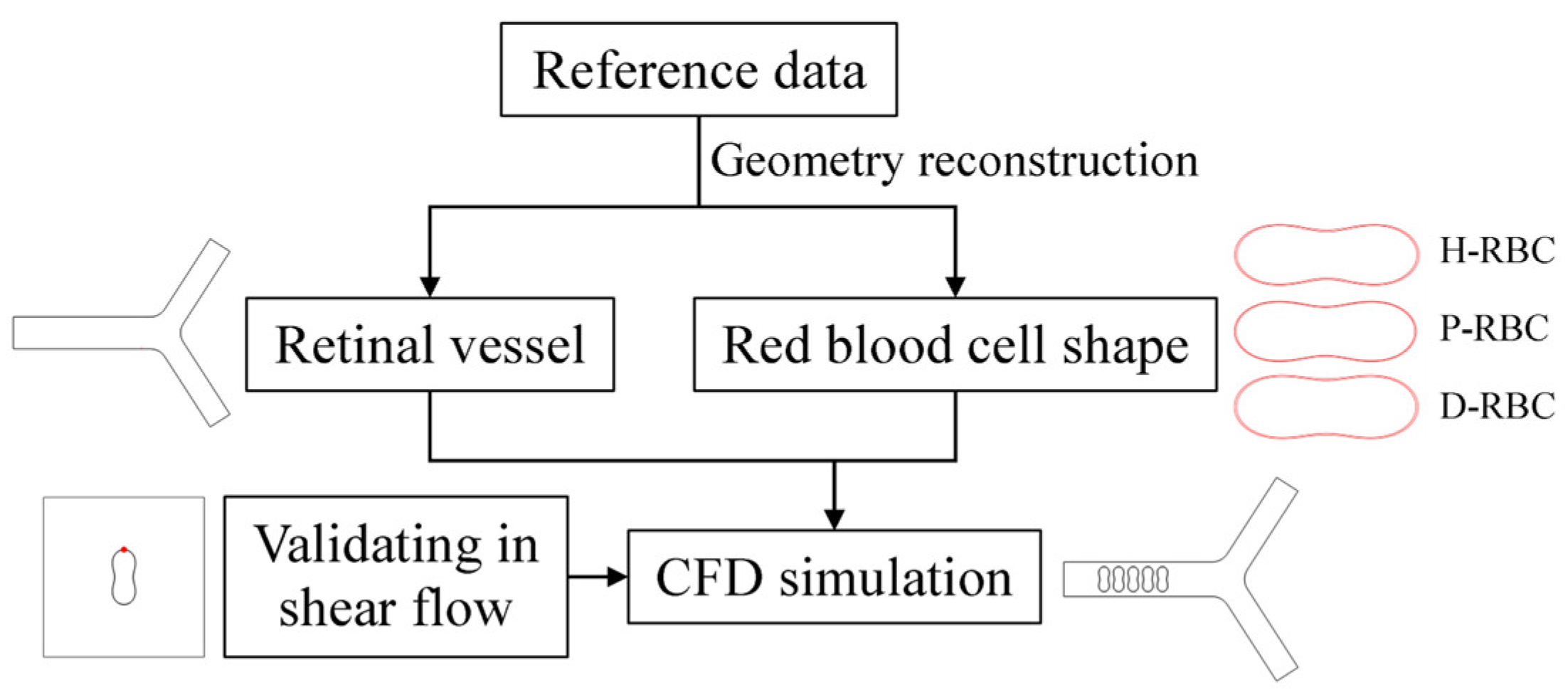Jfb 13 00205 g001 Jfb 13 00205 g001