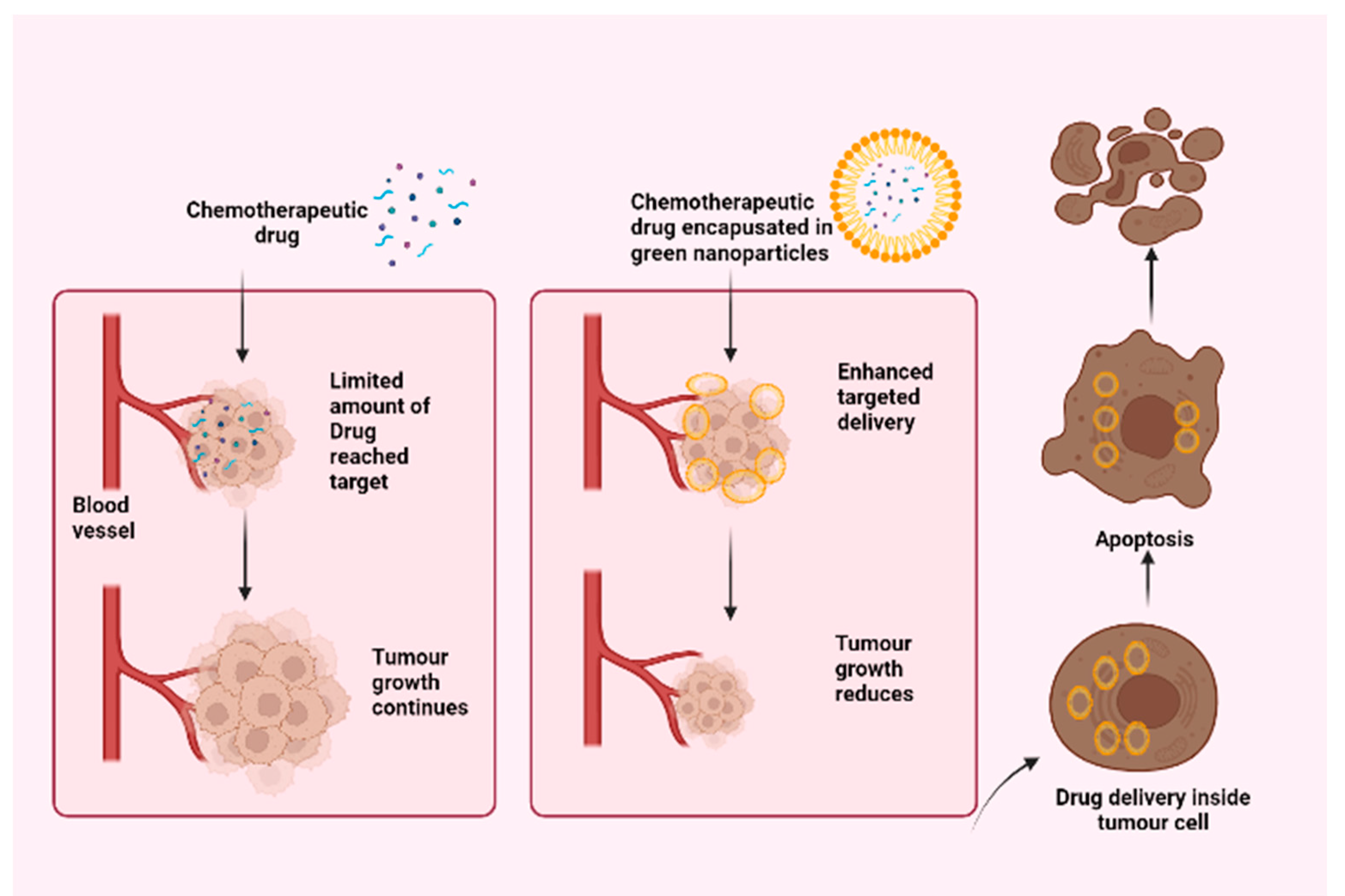 Smart nanoparticles for cancer therapy  Signal Transduction and Targeted  Therapy