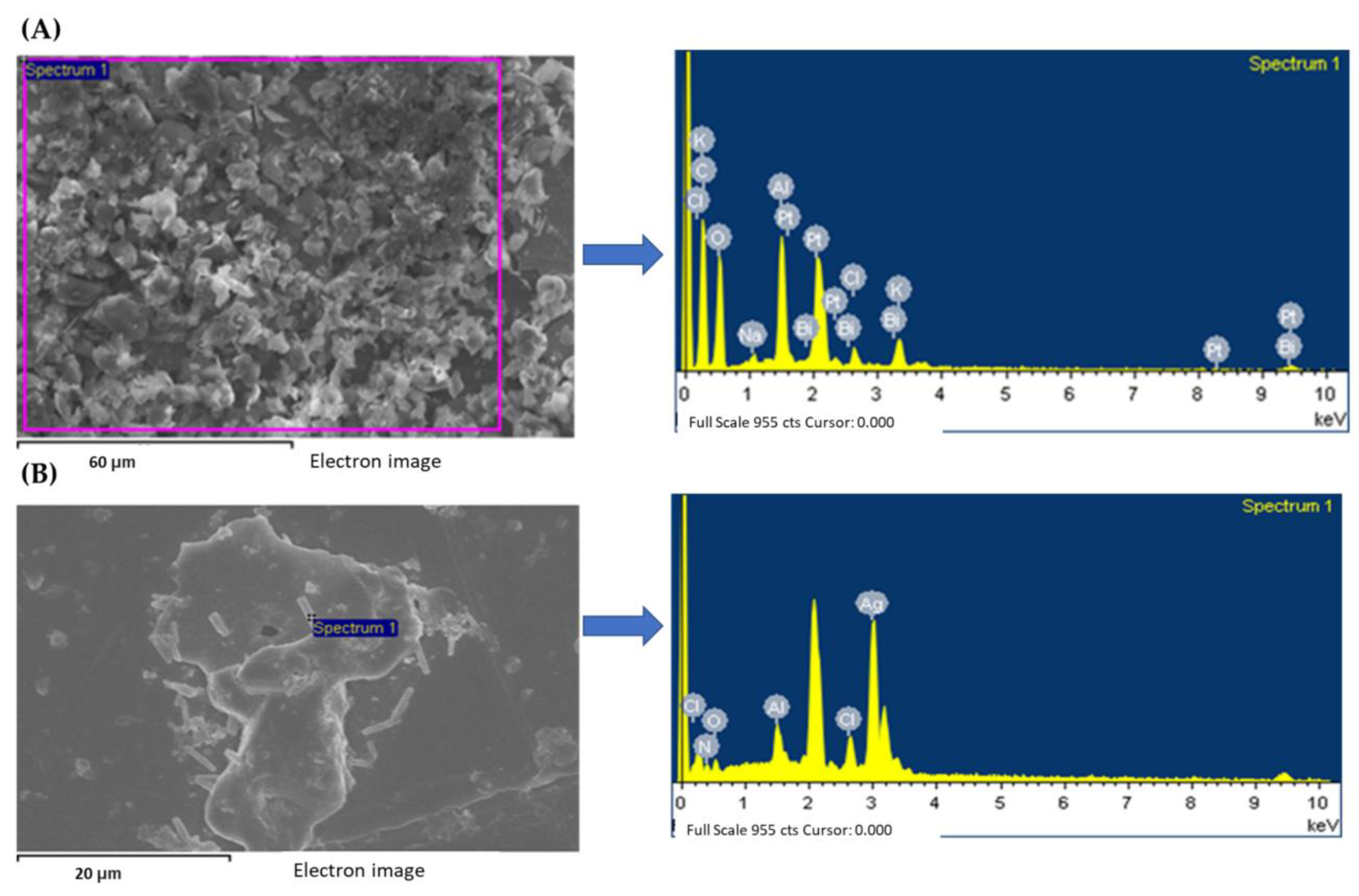 Jfb 13 00224 g006 Jfb 13 00224 g006