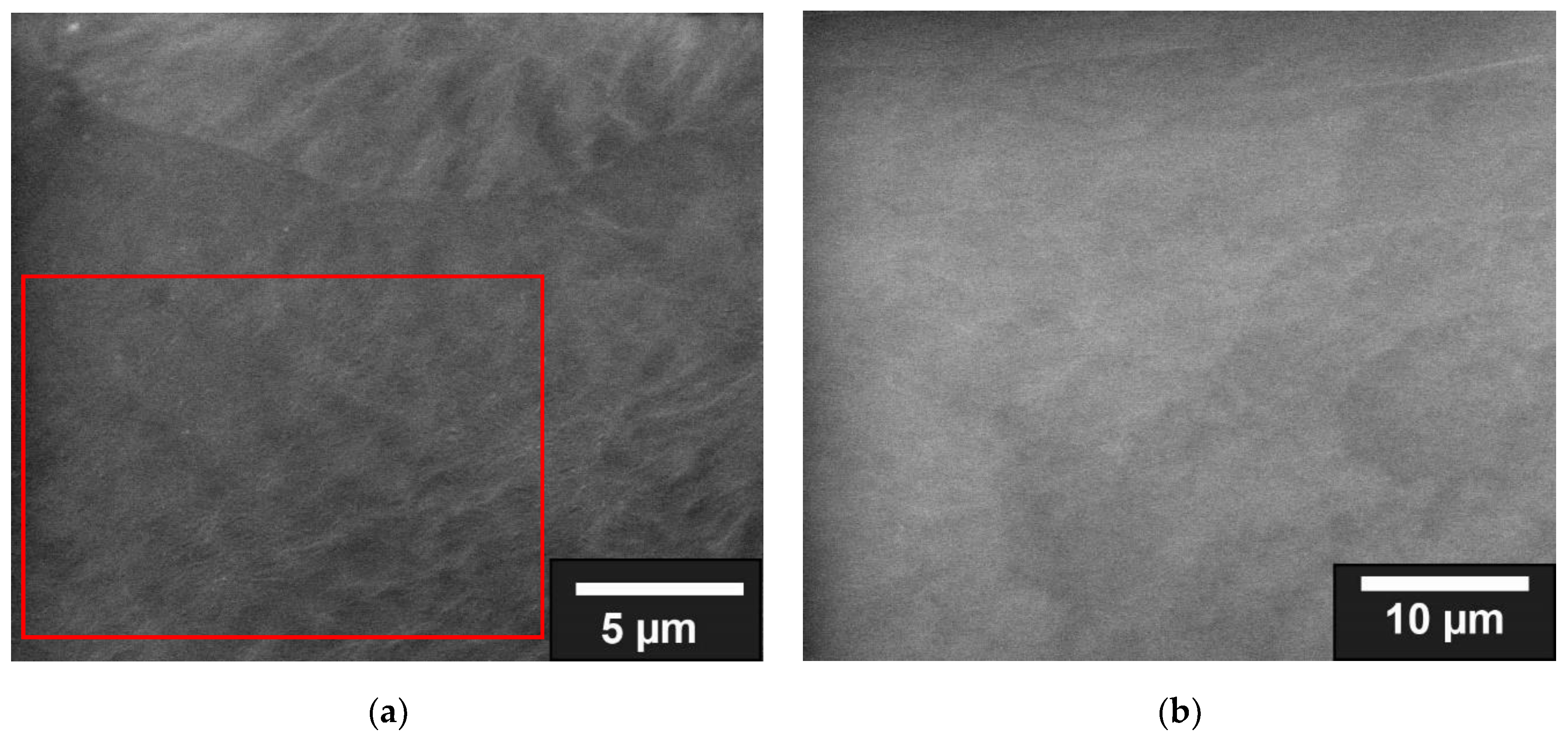 Jfb 13 00238 g002a Jfb 13 00238 g002a