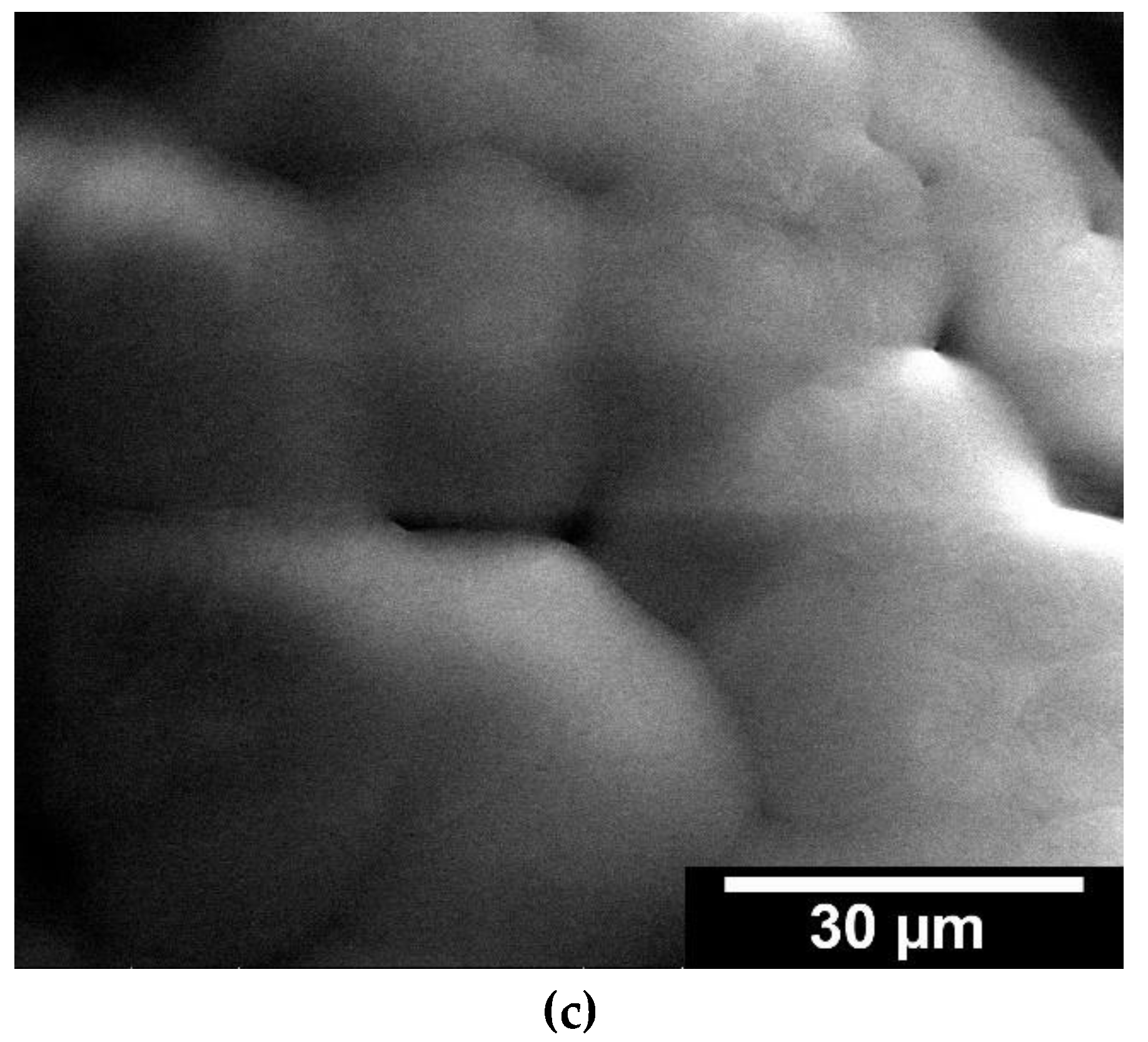 Jfb 13 00238 g002b Jfb 13 00238 g002b