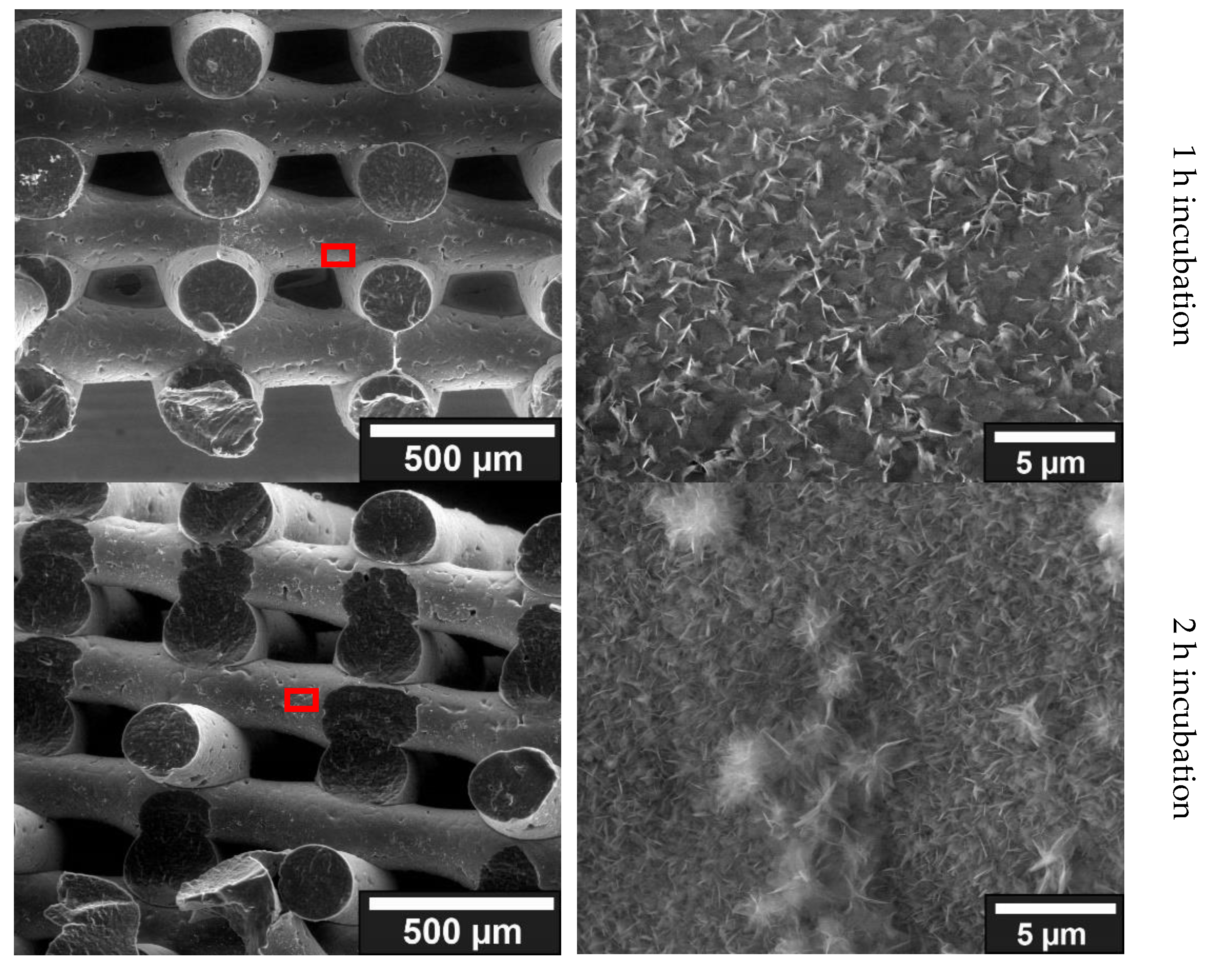 Jfb 13 00238 g004a Jfb 13 00238 g004a