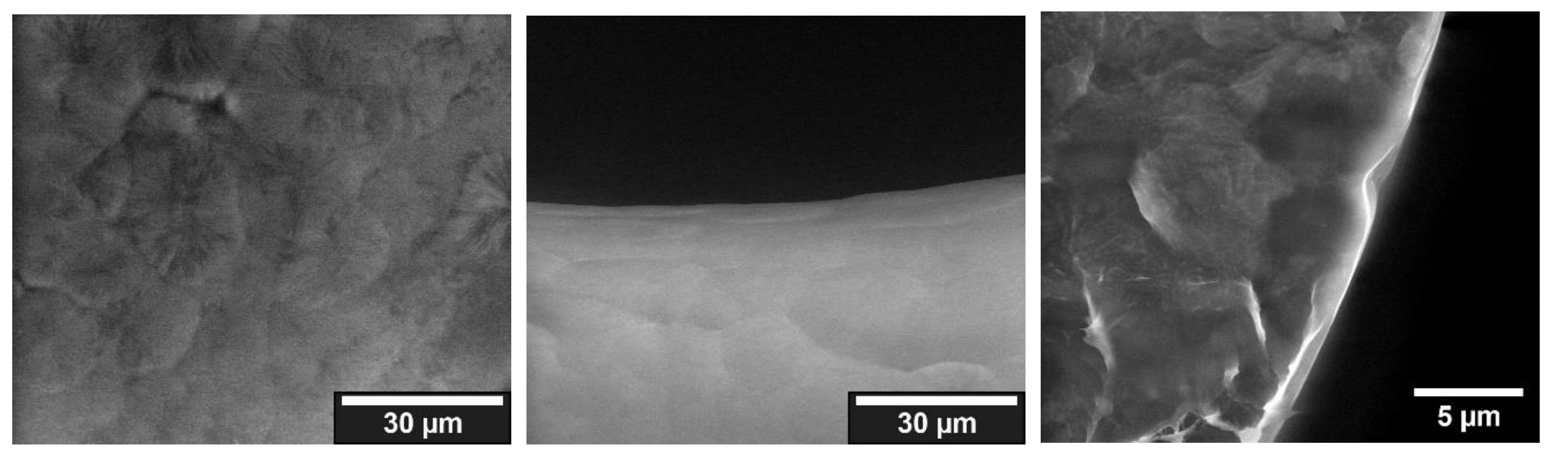 Jfb 13 00238 g006 Jfb 13 00238 g006