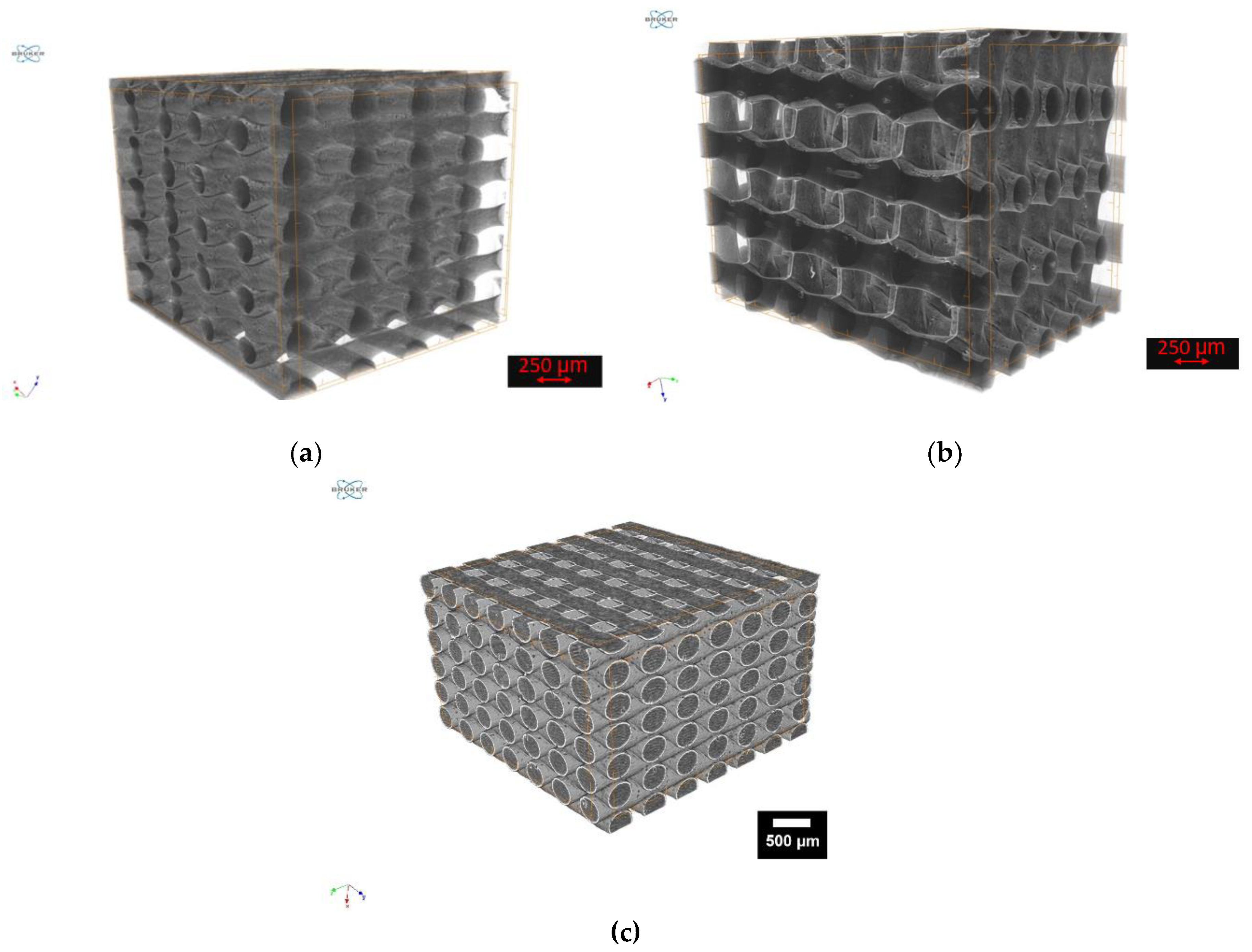 Jfb 13 00238 g007 Jfb 13 00238 g007