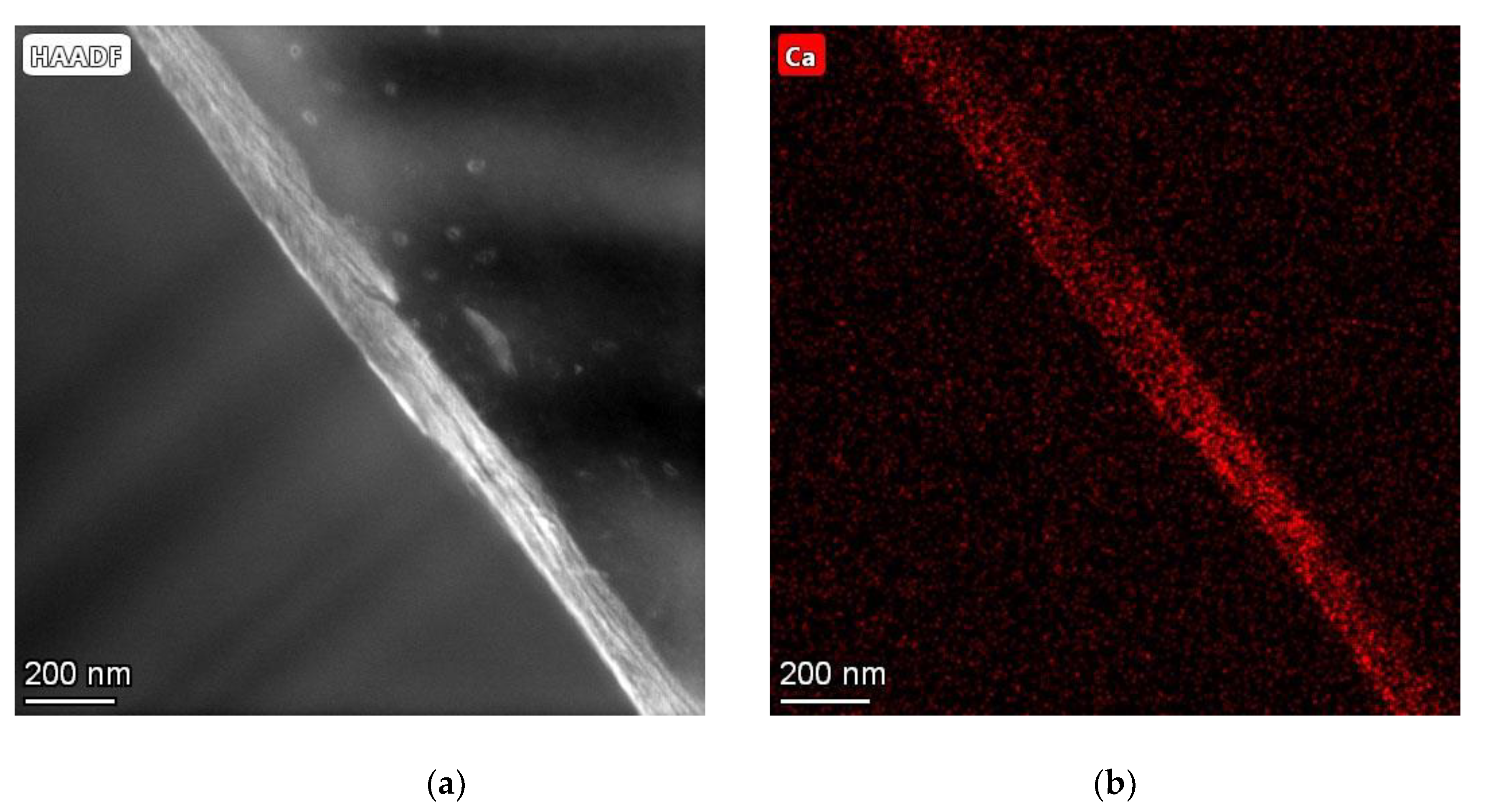 Jfb 13 00238 g008 Jfb 13 00238 g008