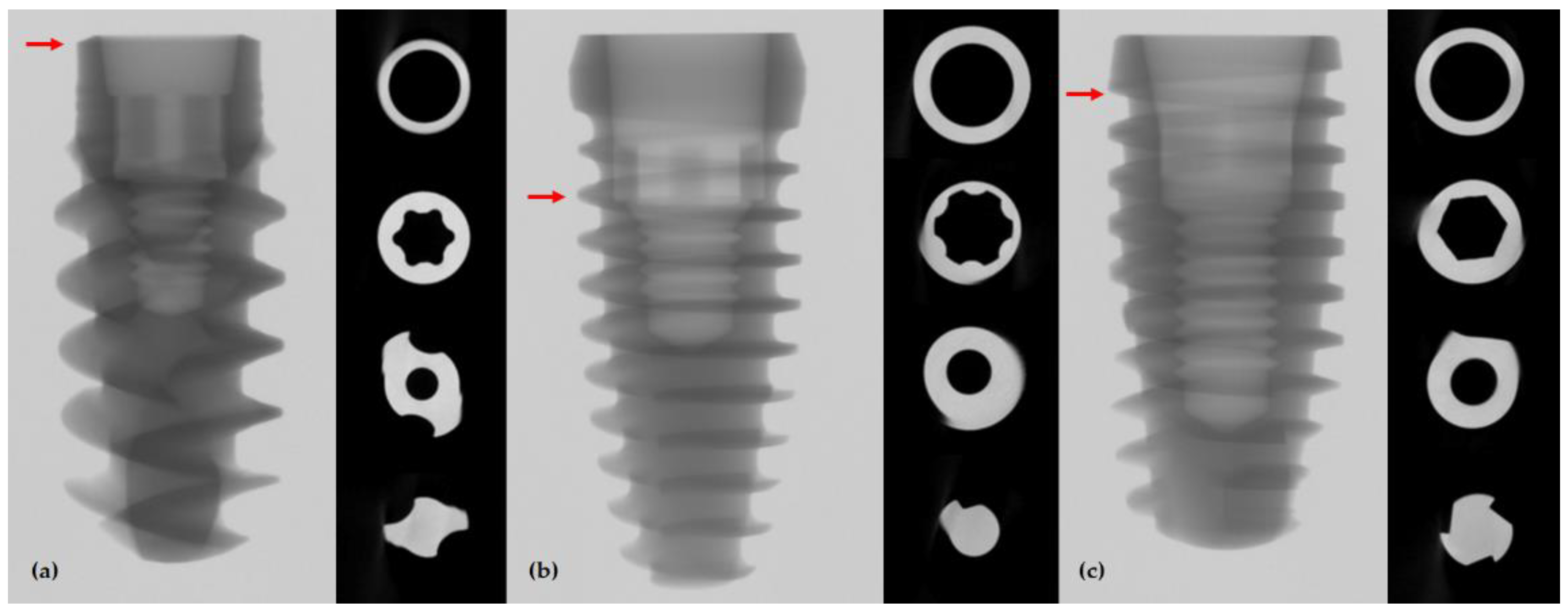 Jfb 13 00239 g001 Jfb 13 00239 g001