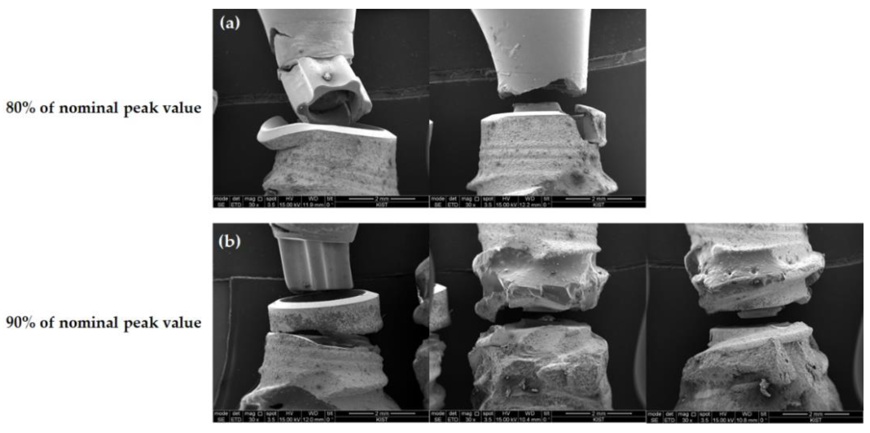 Jfb 13 00239 g004 Jfb 13 00239 g004