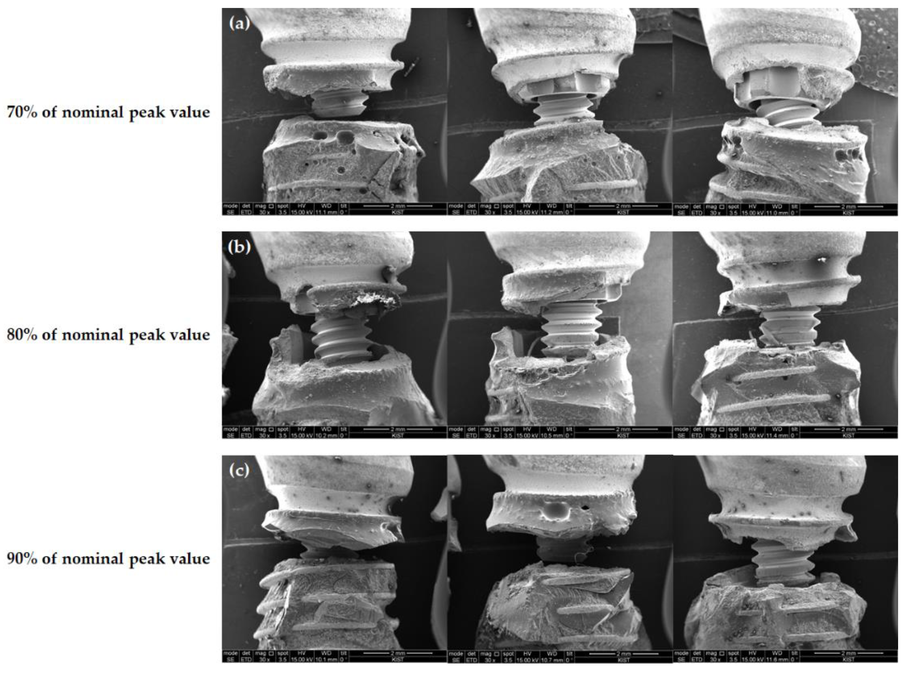 Jfb 13 00239 g005 Jfb 13 00239 g005