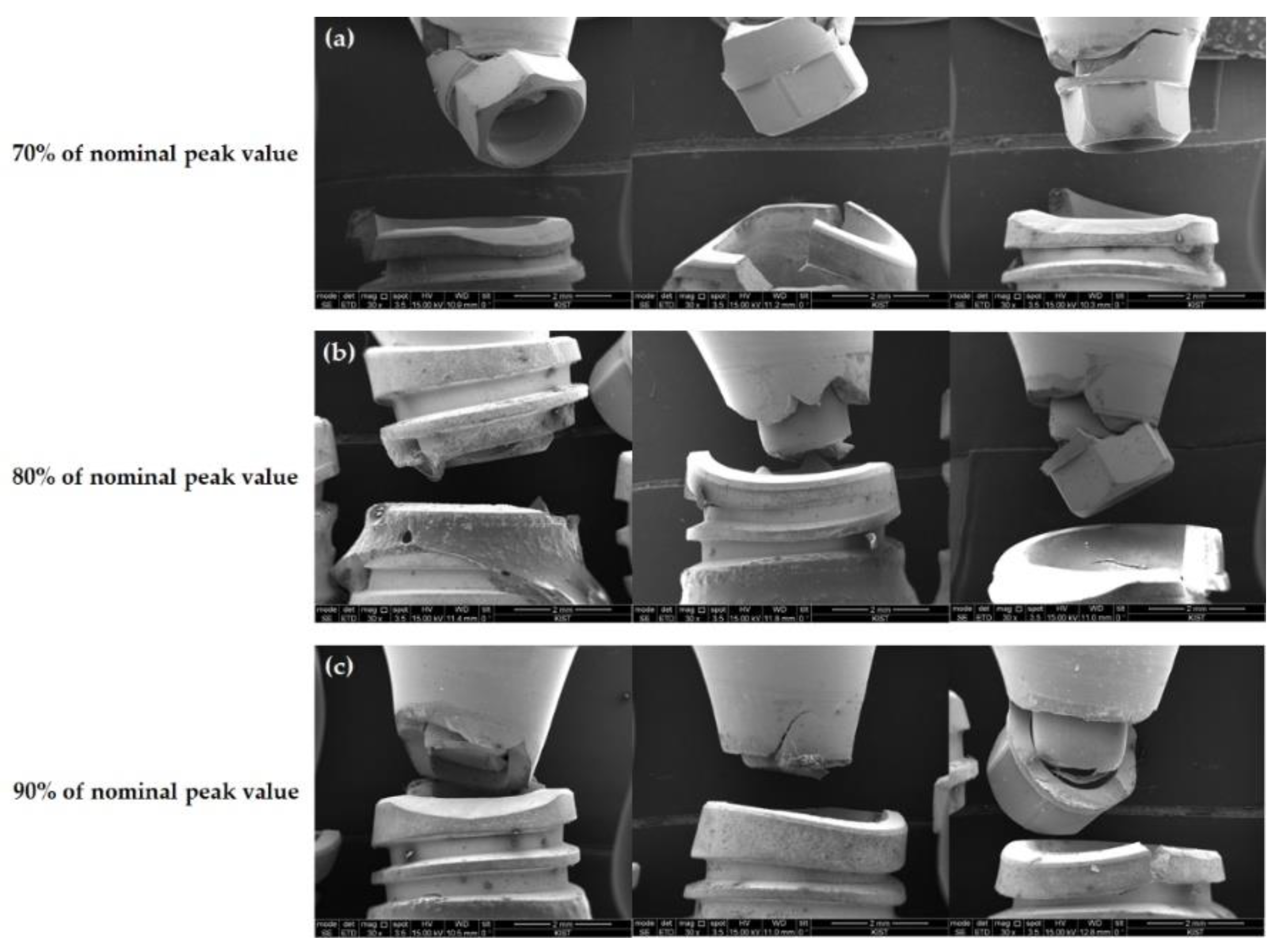 Jfb 13 00239 g006 Jfb 13 00239 g006