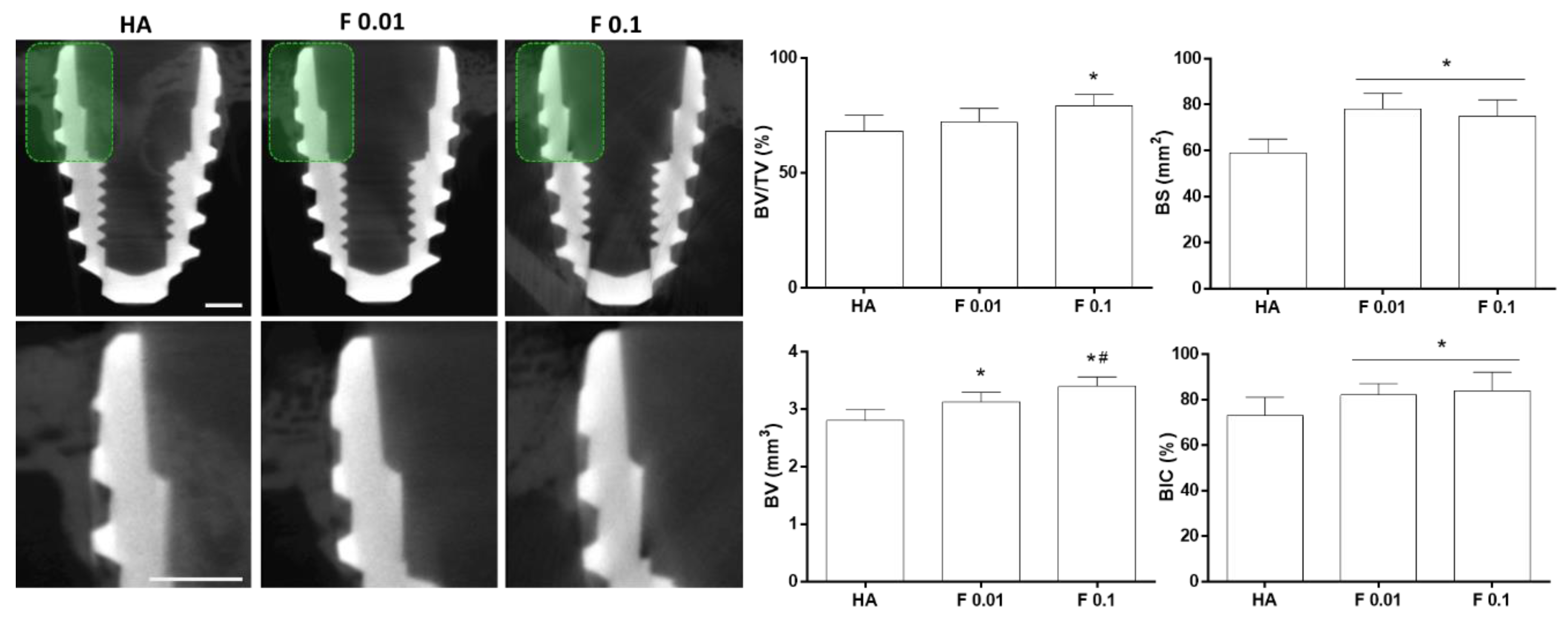 Jfb 13 00241 g003 Jfb 13 00241 g003