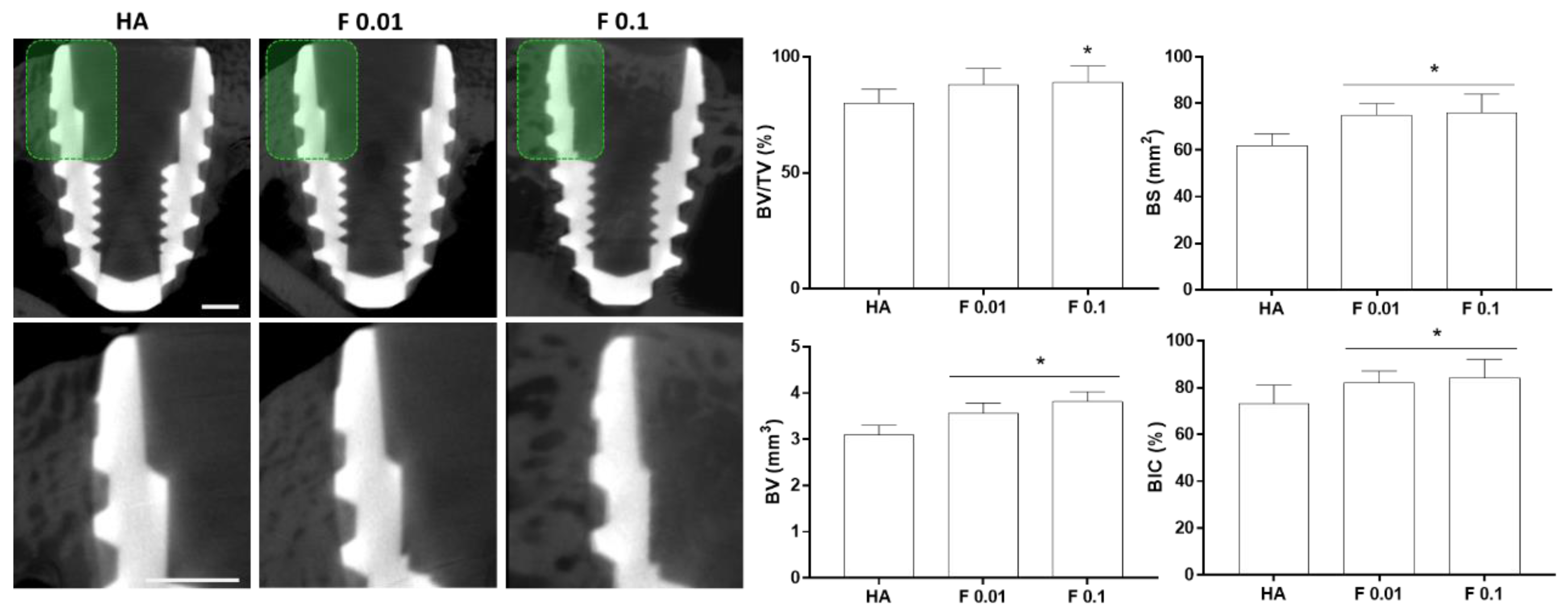 Jfb 13 00241 g005 Jfb 13 00241 g005