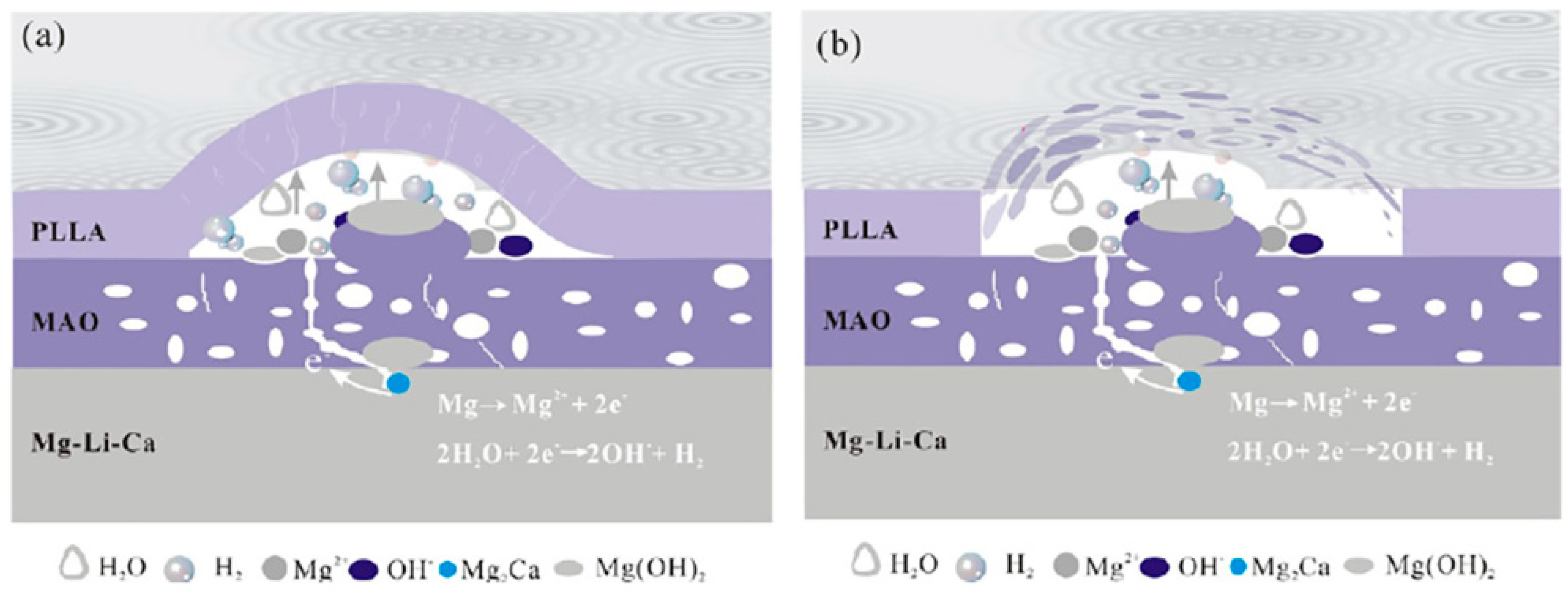 Jfb 13 00267 g008 Jfb 13 00267 g008