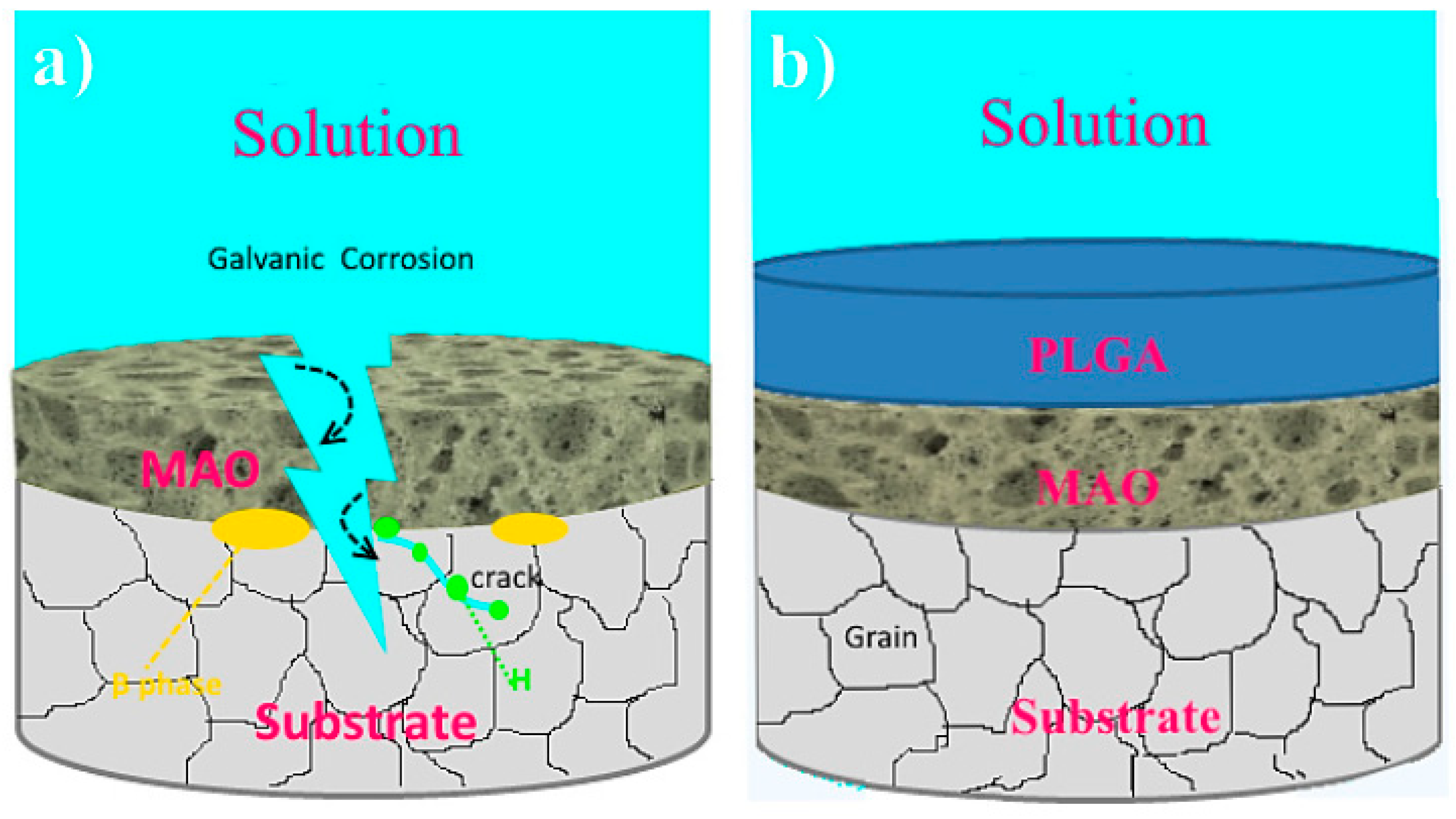 Jfb 13 00267 g010 Jfb 13 00267 g010